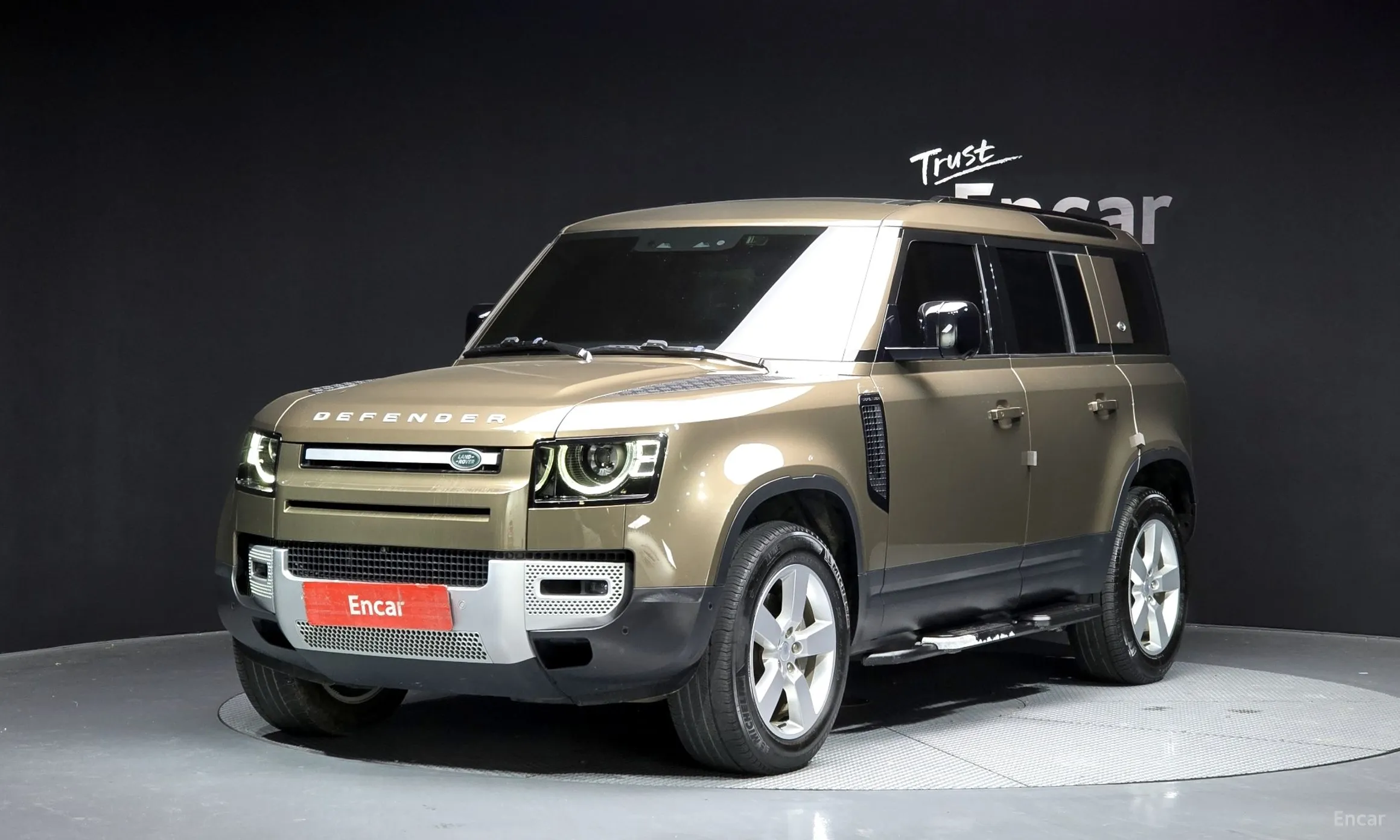Defender (L663)