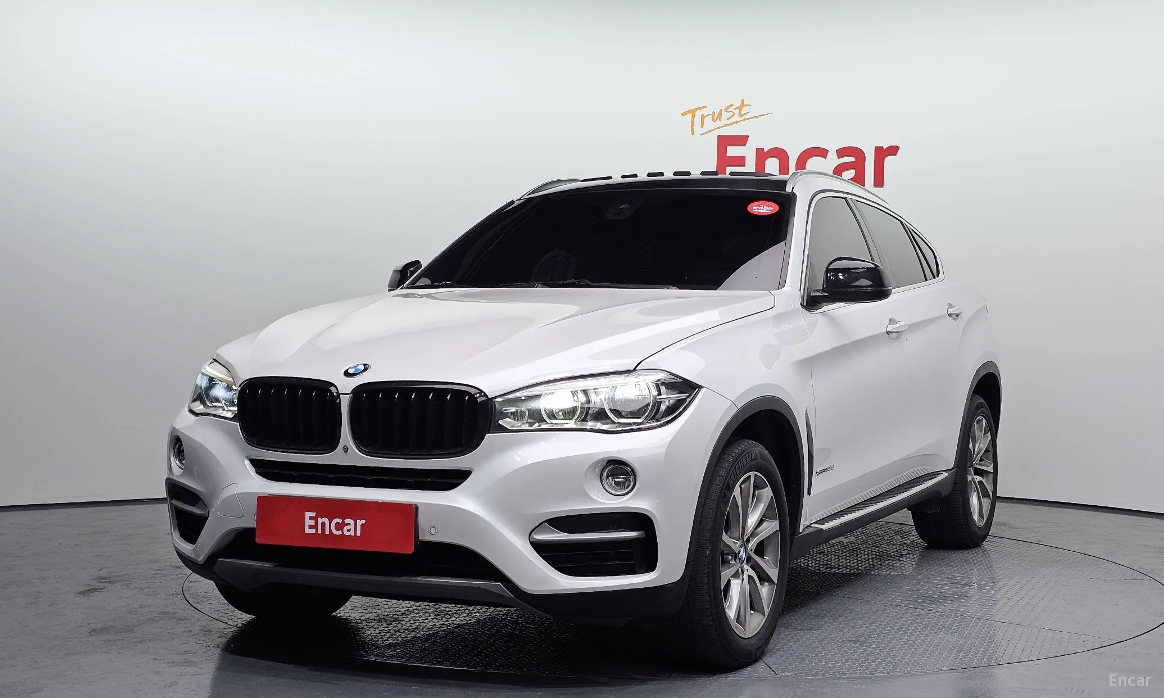 X6 (F16)