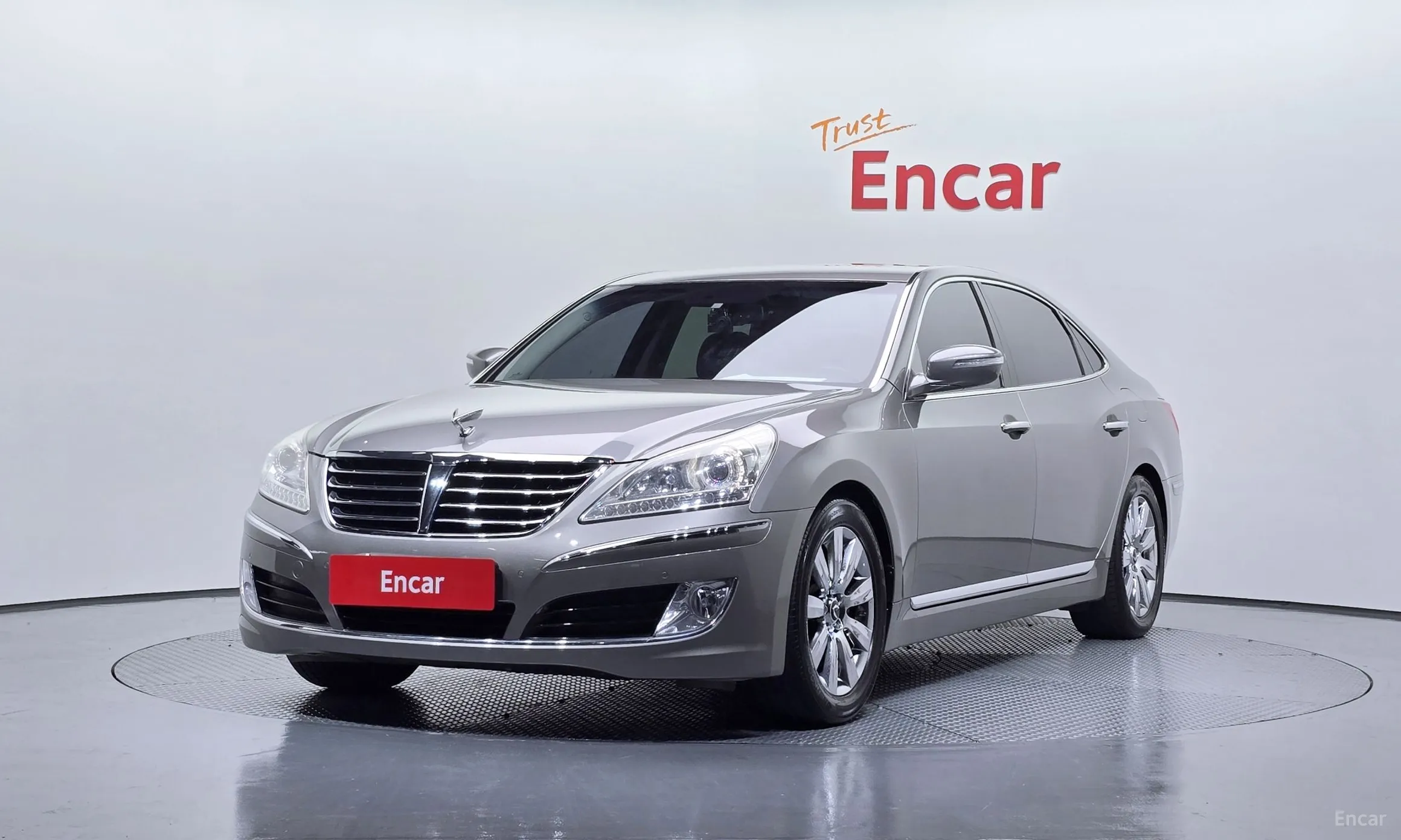 Equus (new)