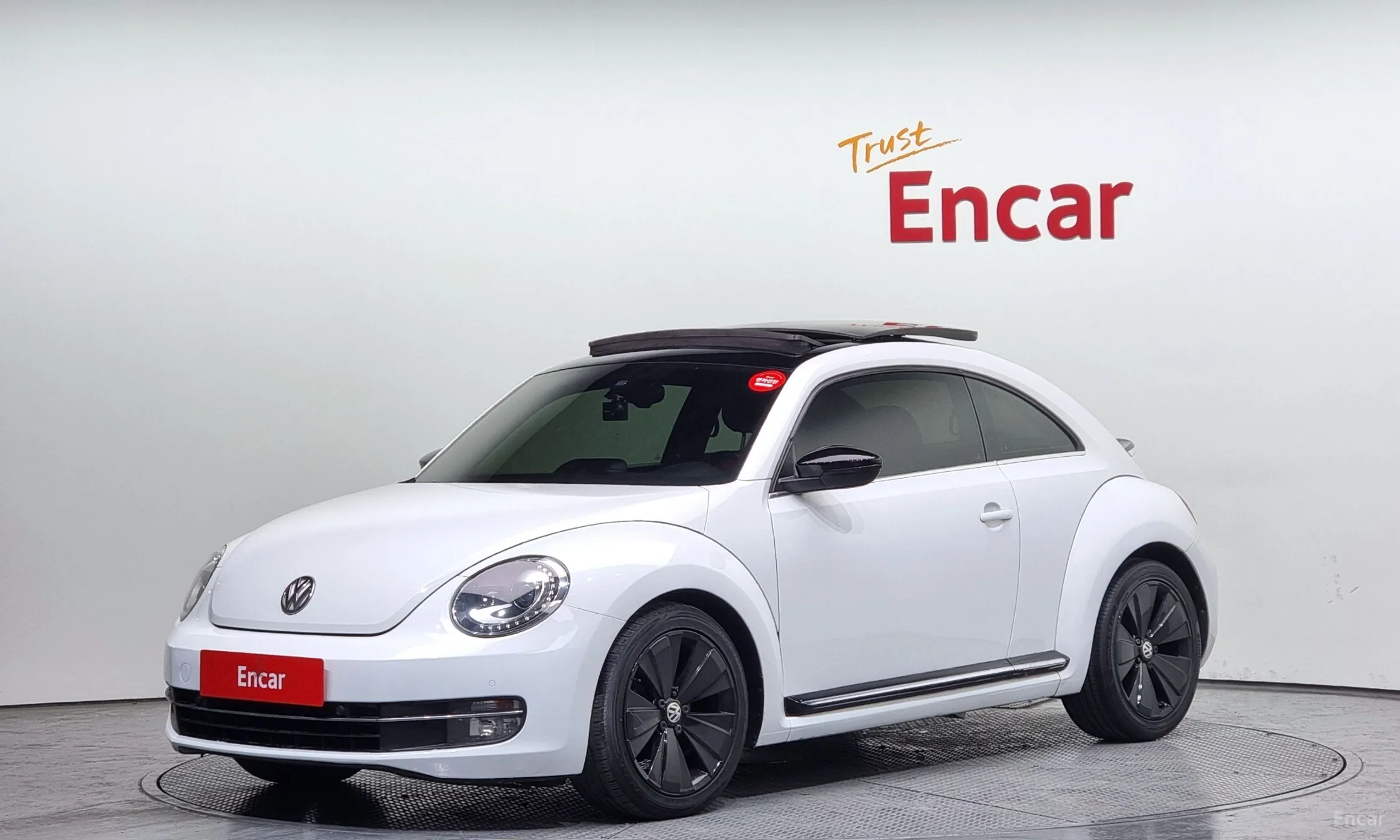 Volkswagen The Beetle