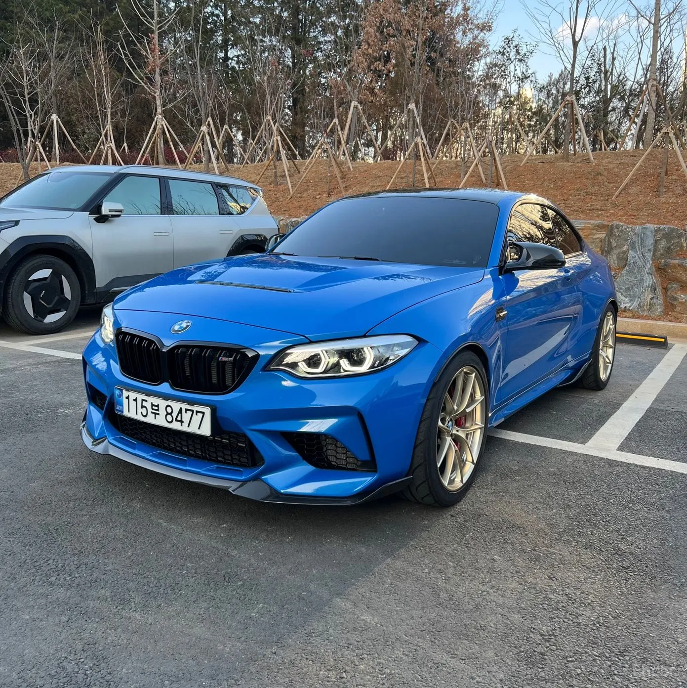 BMW M2 (F87)