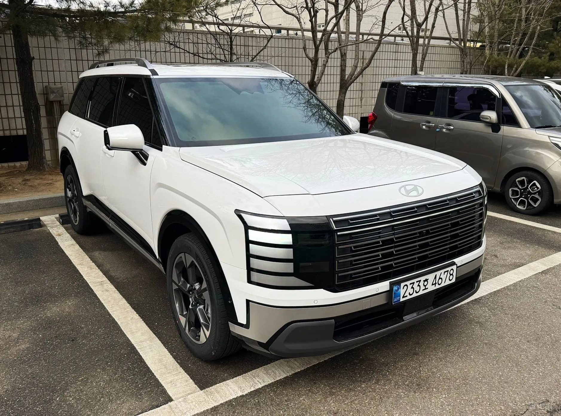 Palisade (LX3)