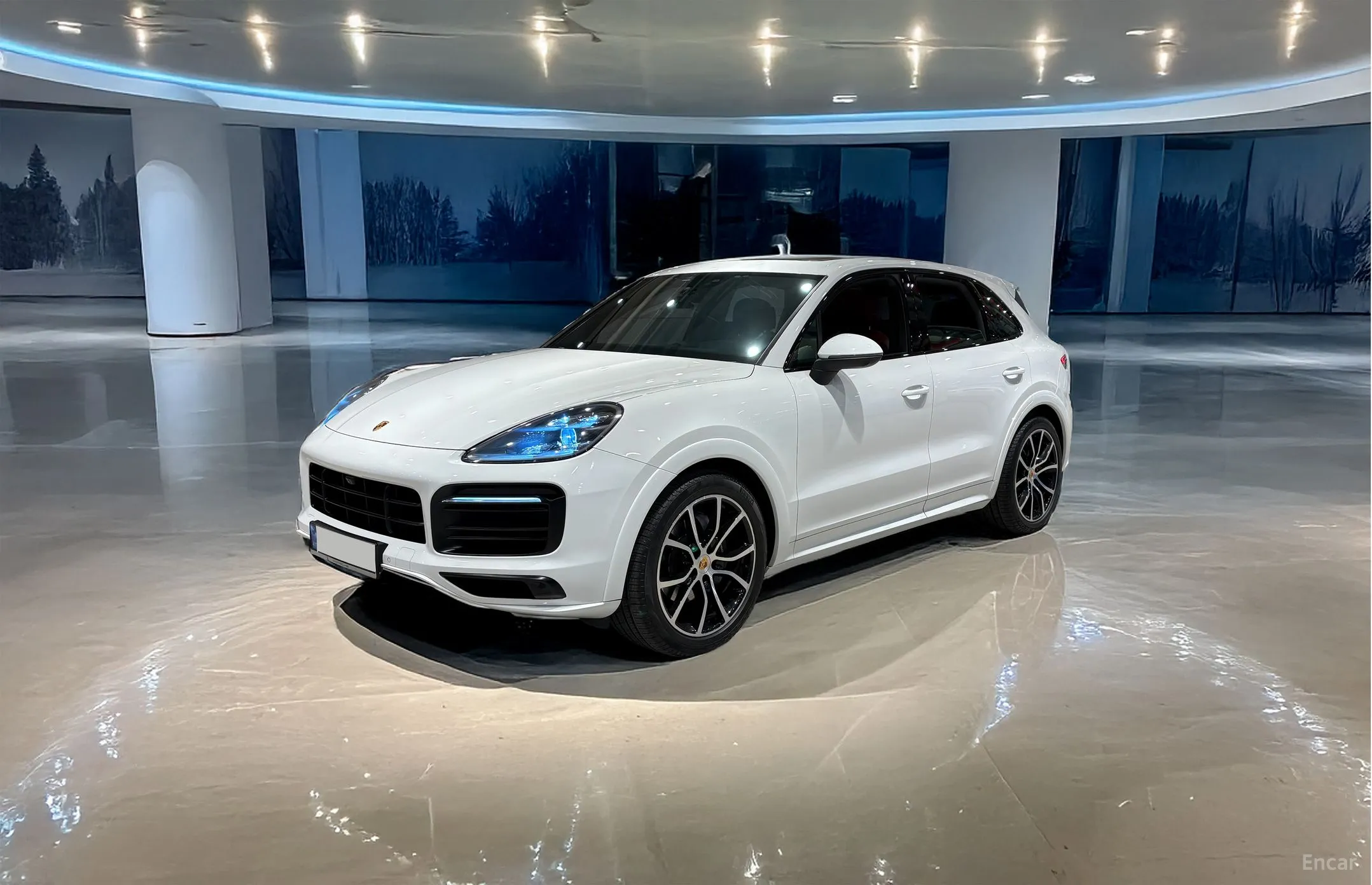 Cayenne (PO536)