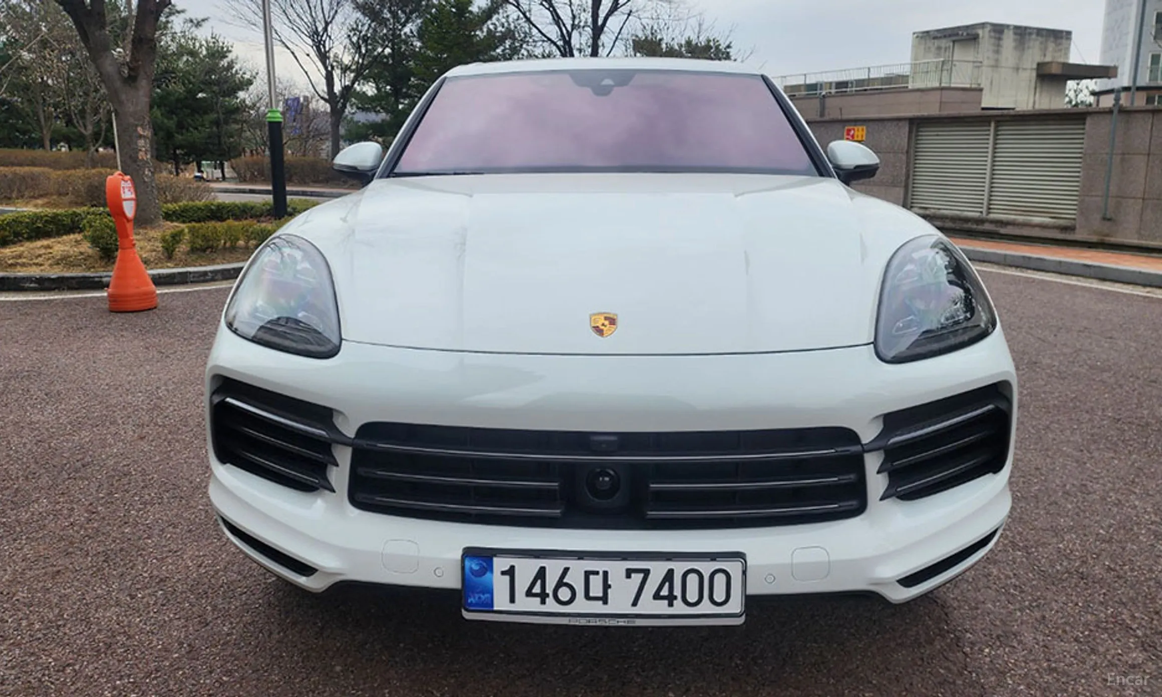 Cayenne (PO536)