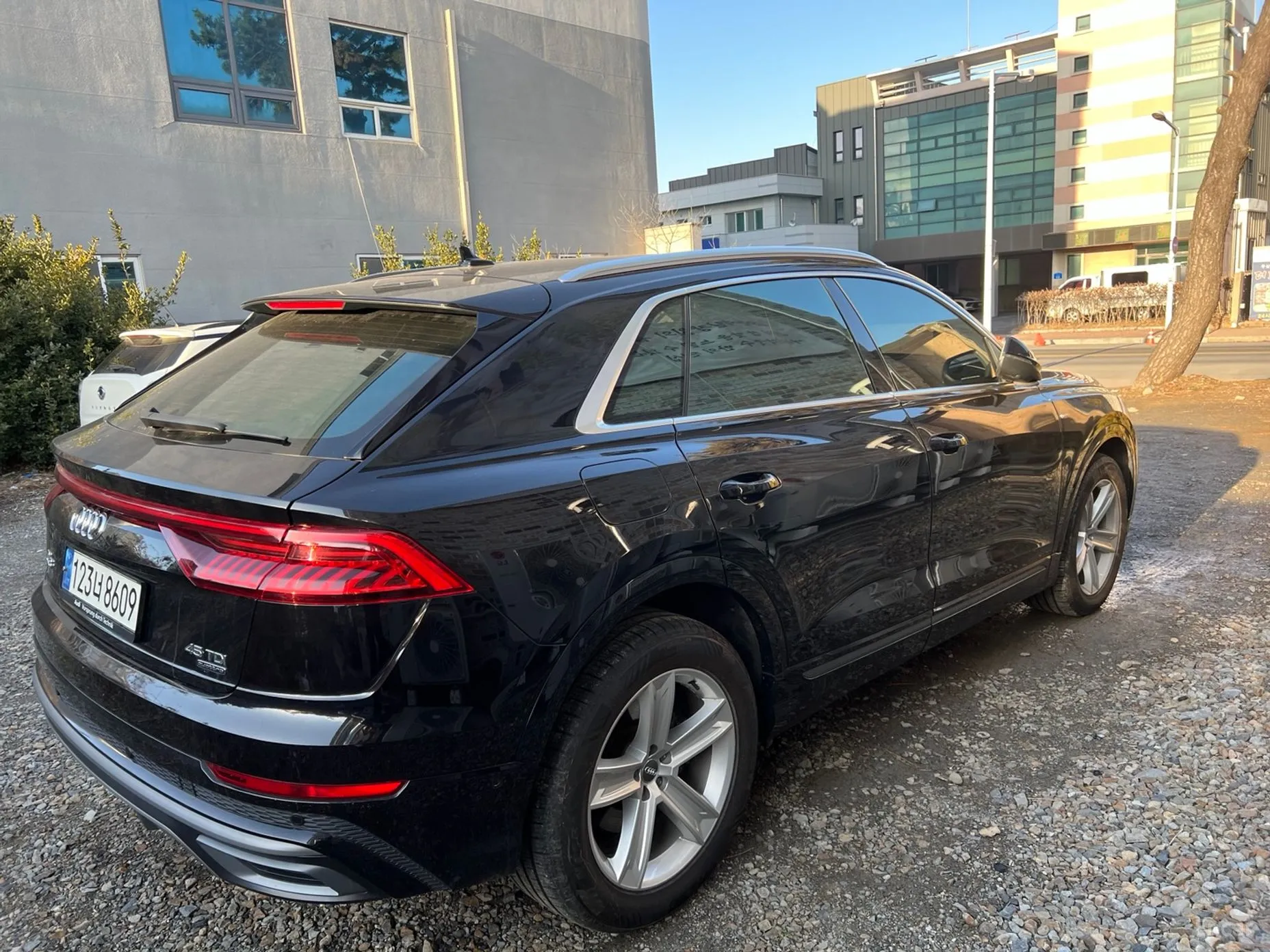 Audi Q8 (4M) превью 2