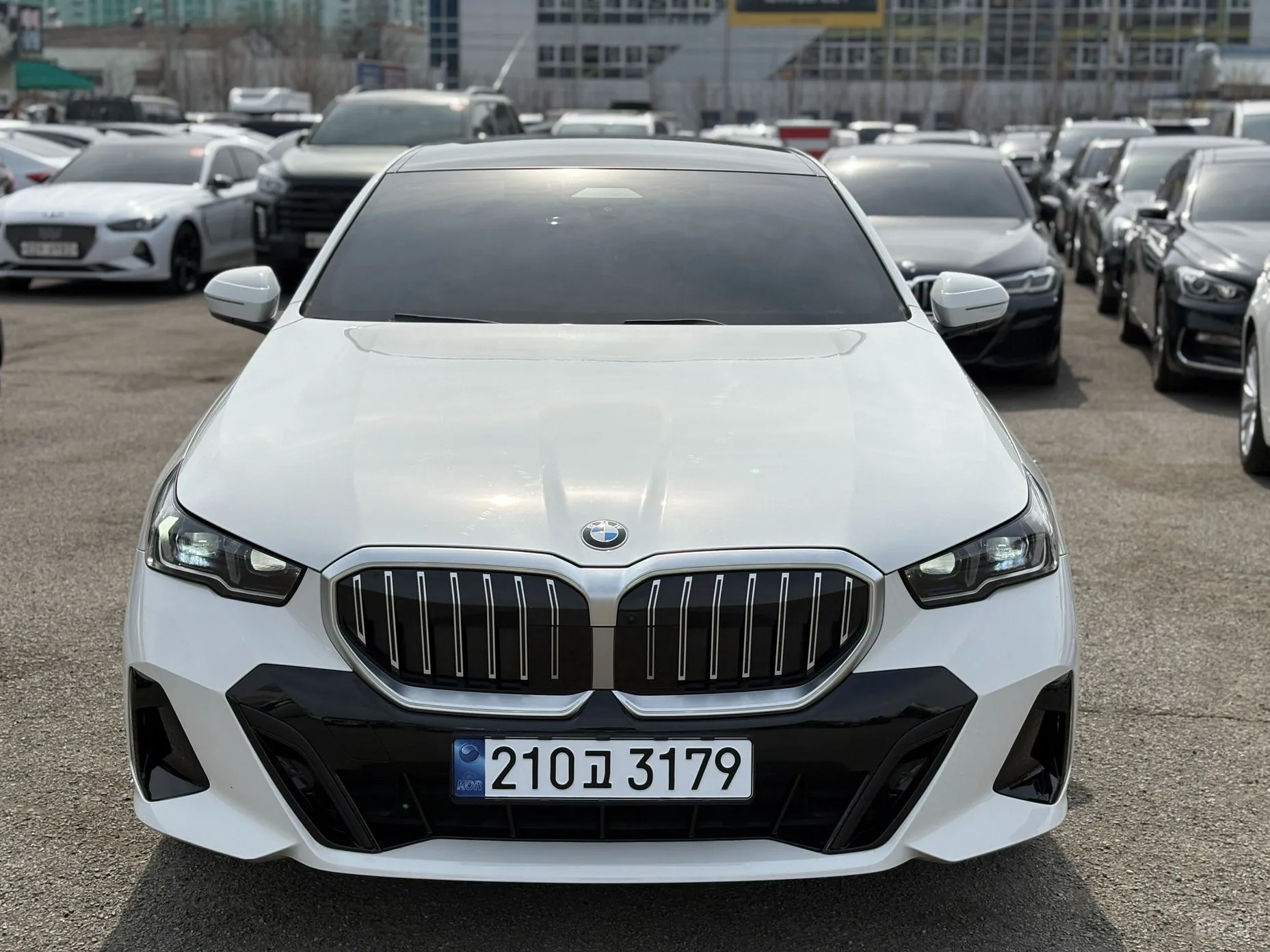 BMW 5 Series (G60) превью 2