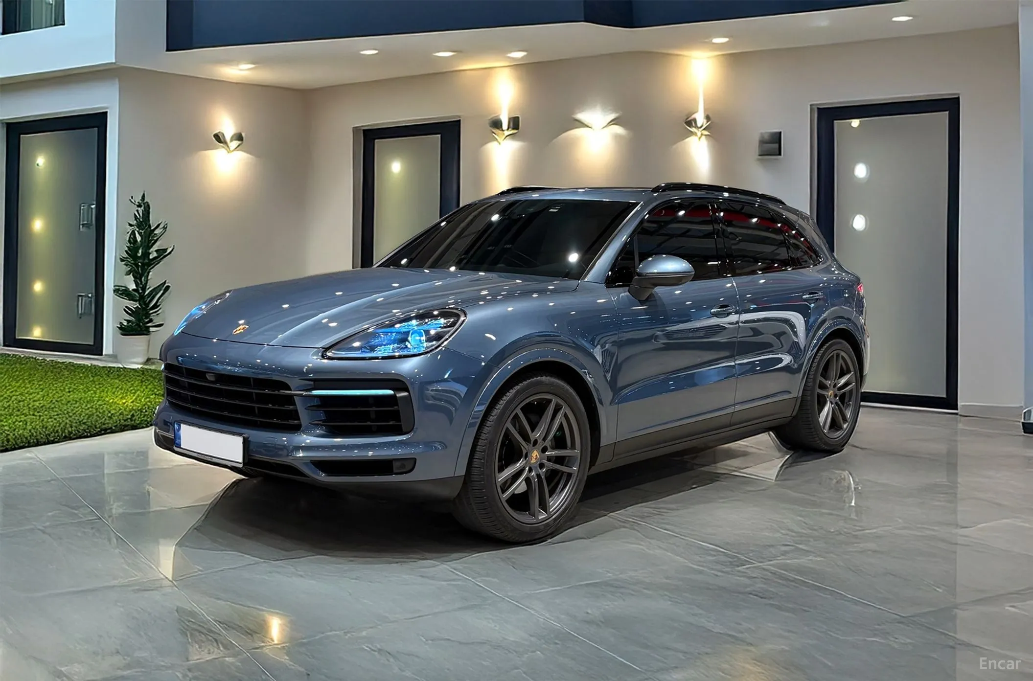 Cayenne (PO536)