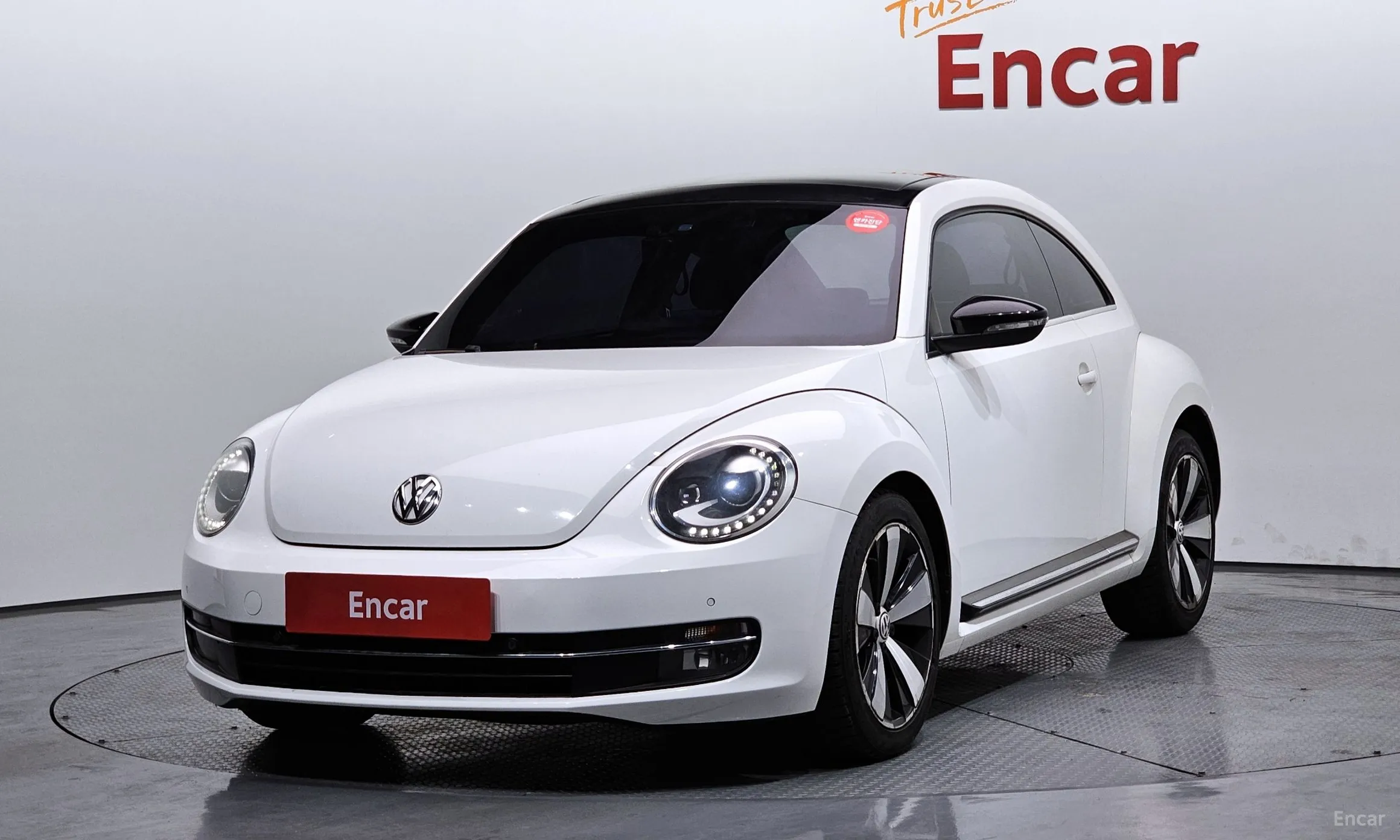 The Beetle