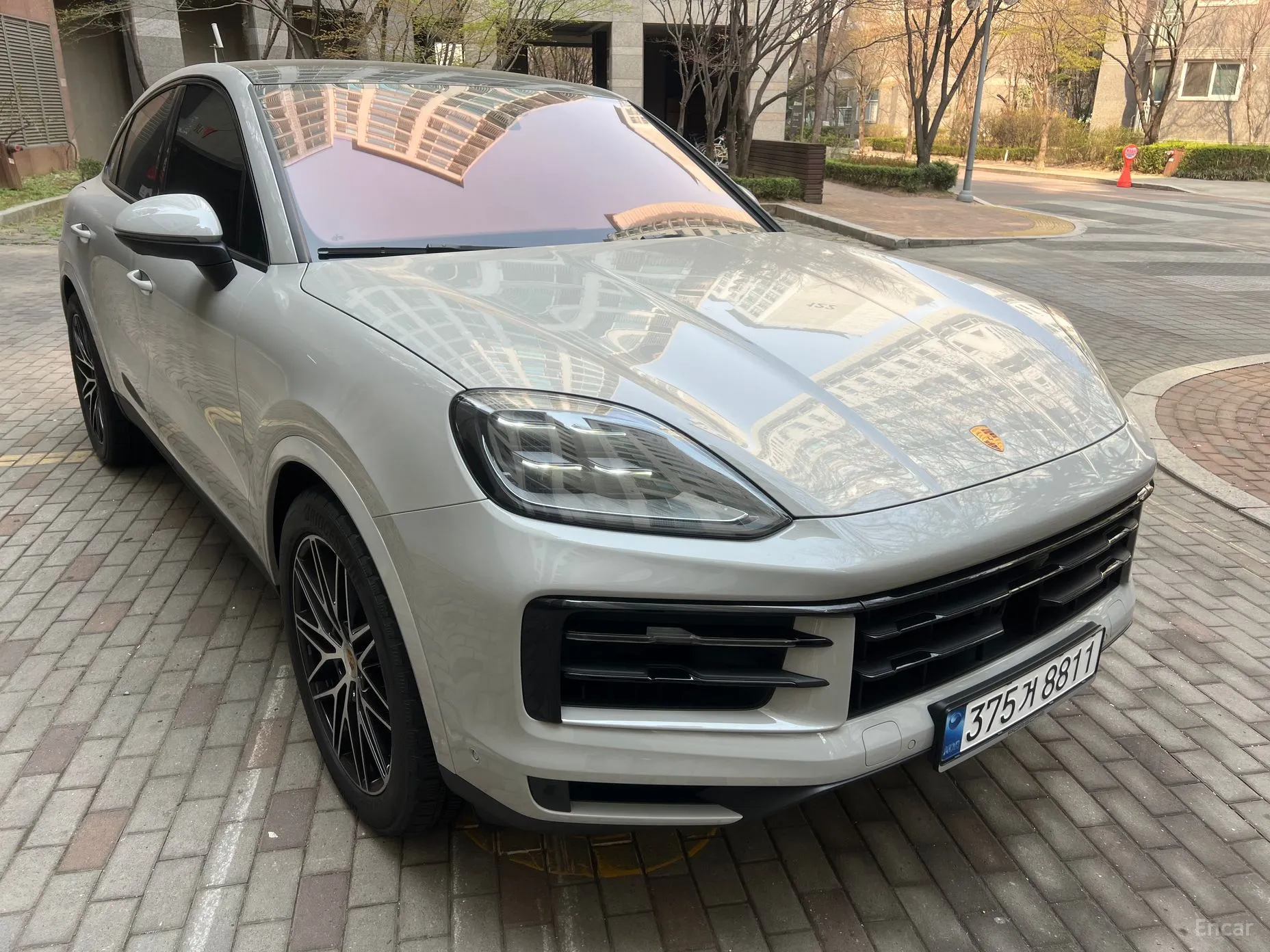 Cayenne (PO536)