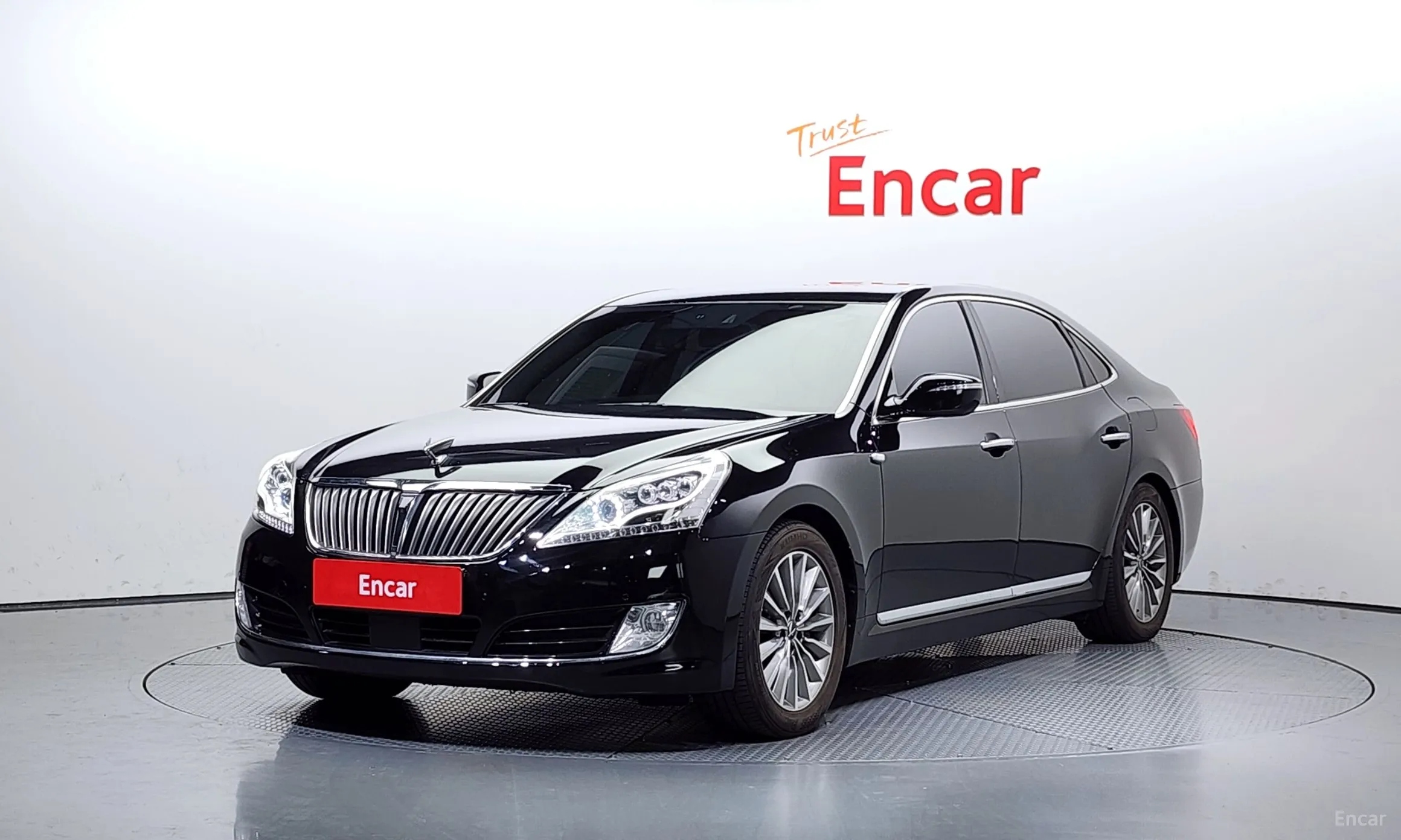 Equus (new)