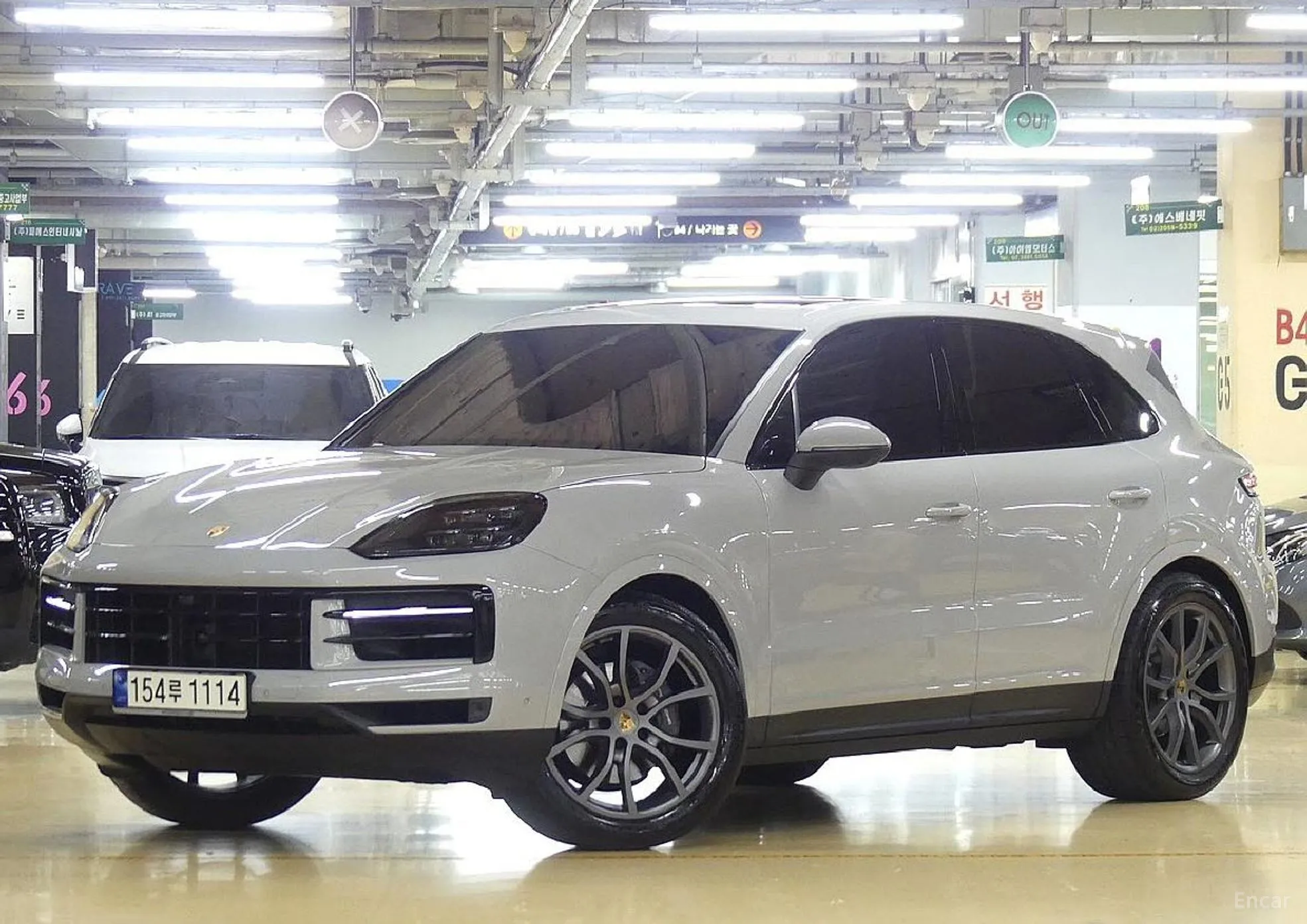 Cayenne (PO536)