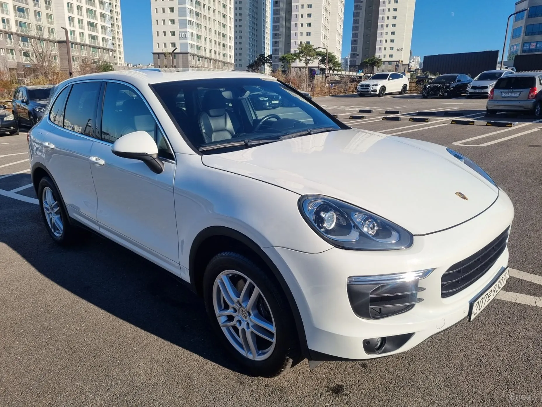 New Cayenne
