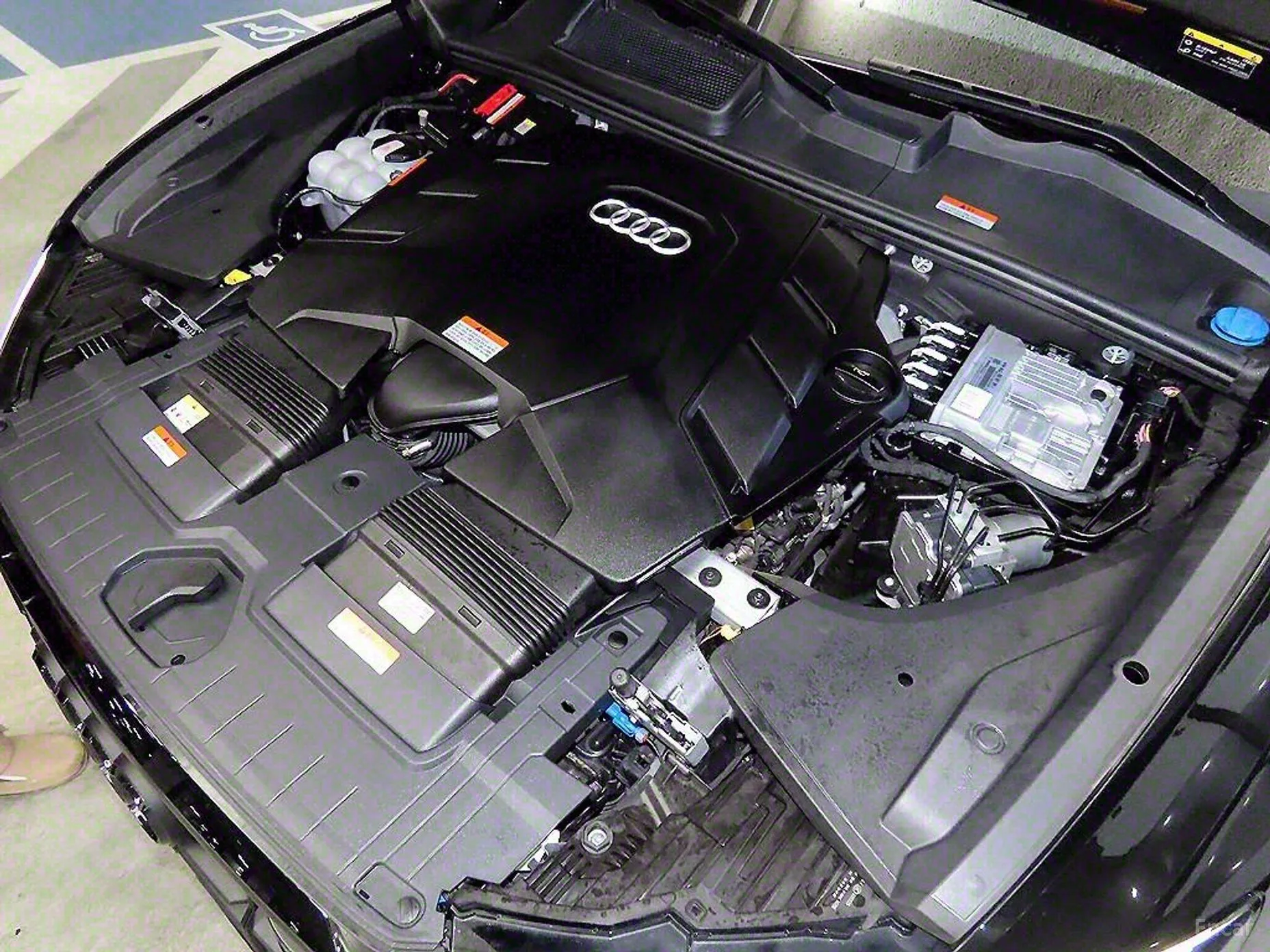 Audi Q8 (4M) превью 4