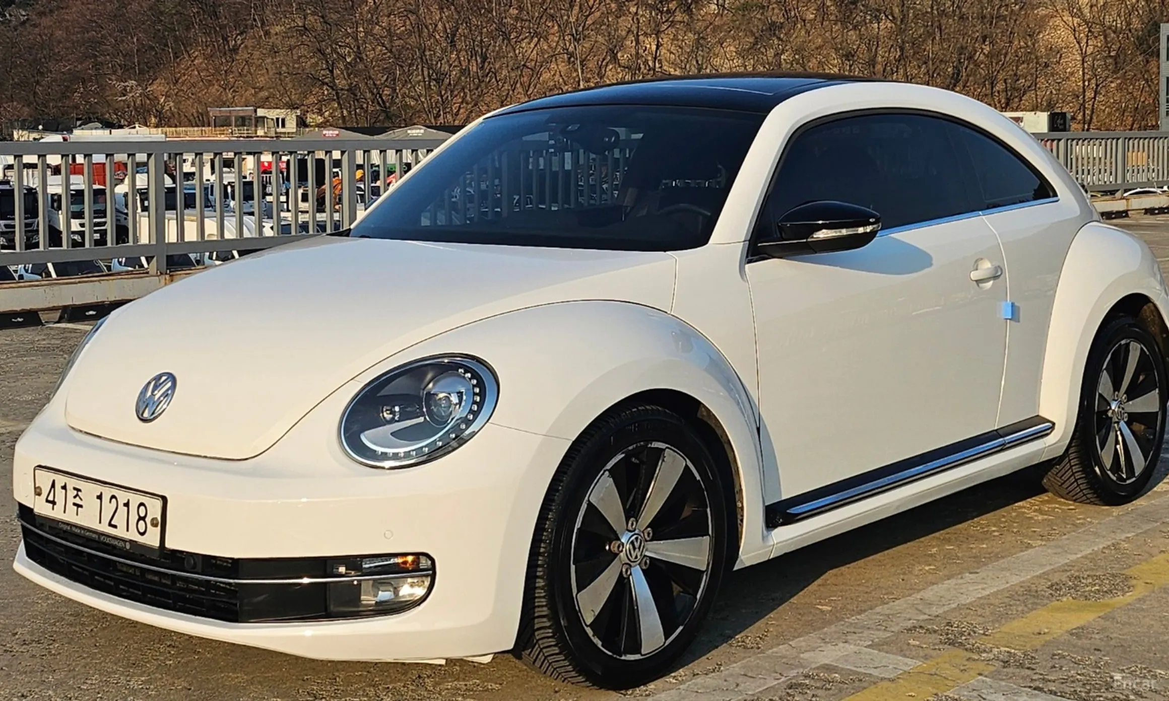 Volkswagen The Beetle