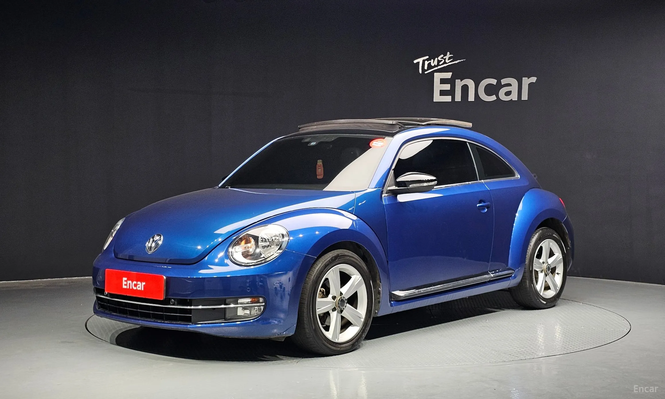 The Beetle