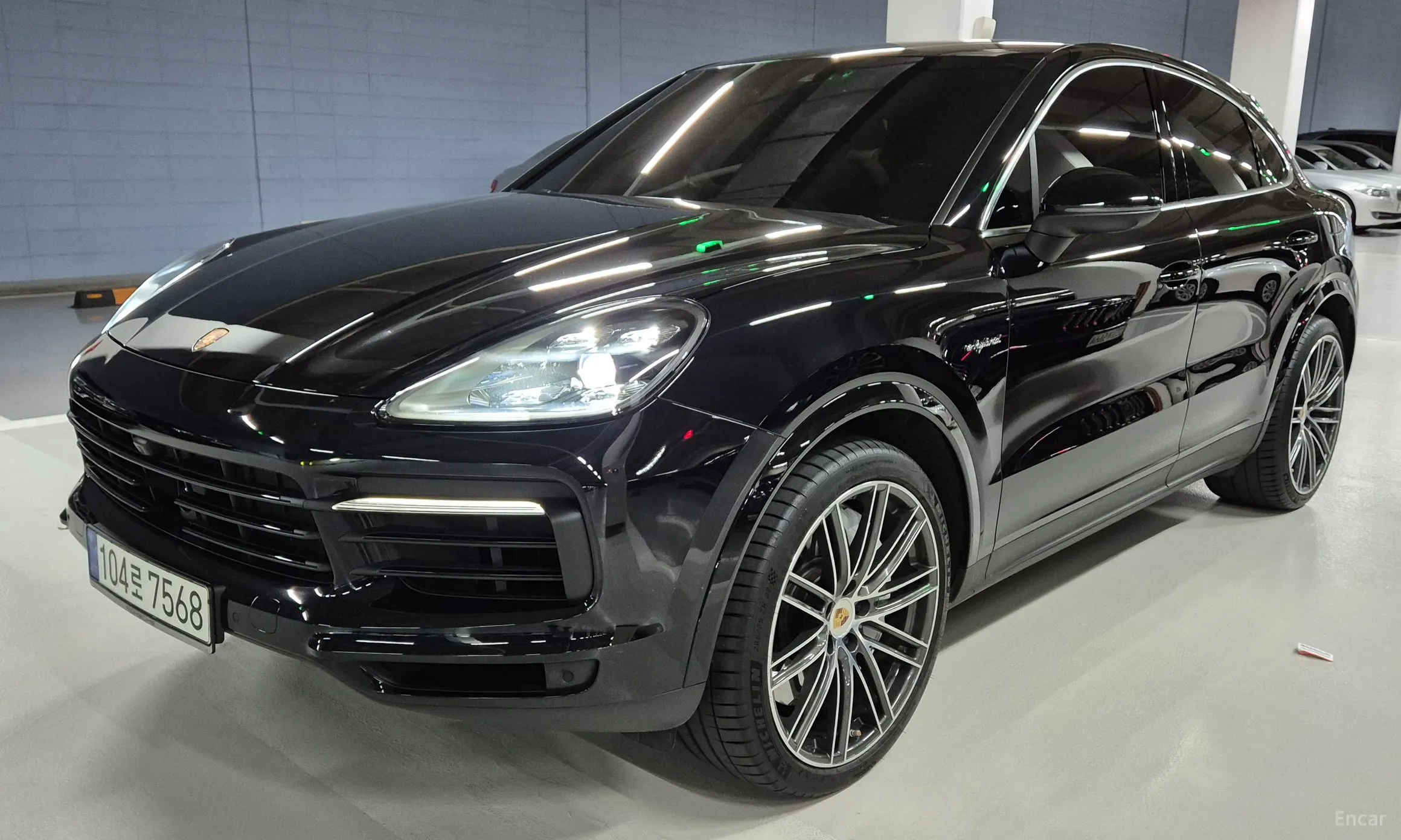 Cayenne (PO536)