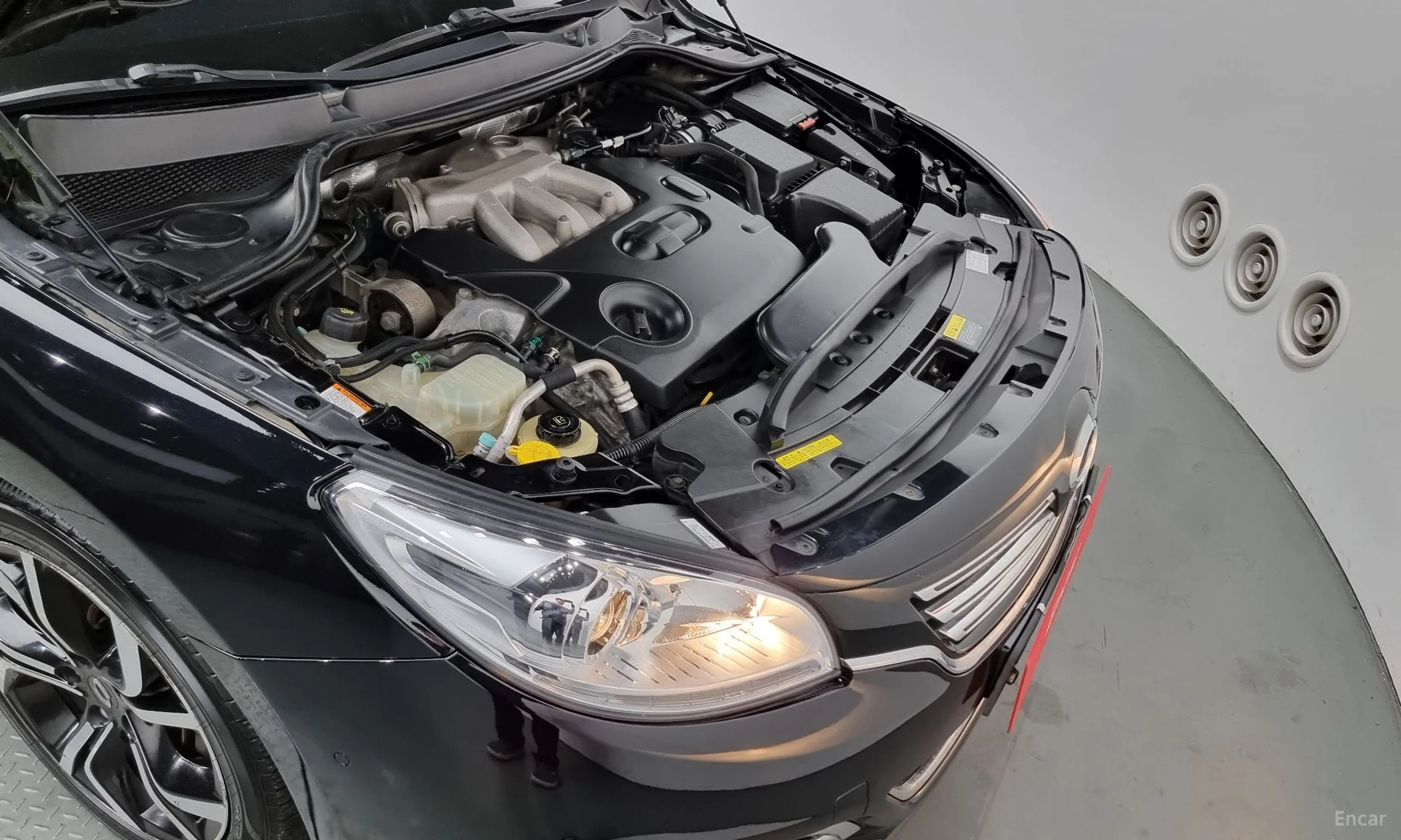 Renault Korea (Samsung) SM7 превью 6