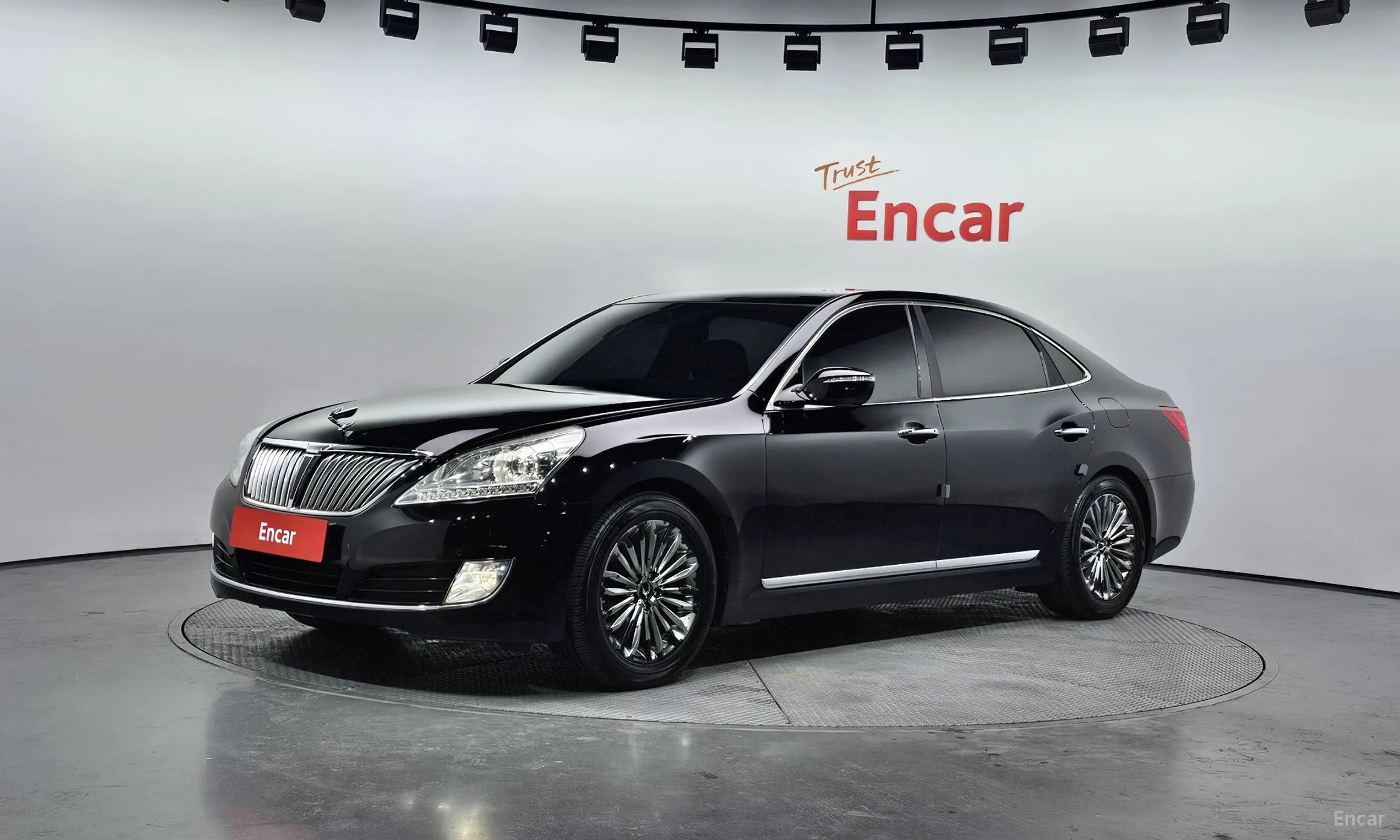 Equus (new)