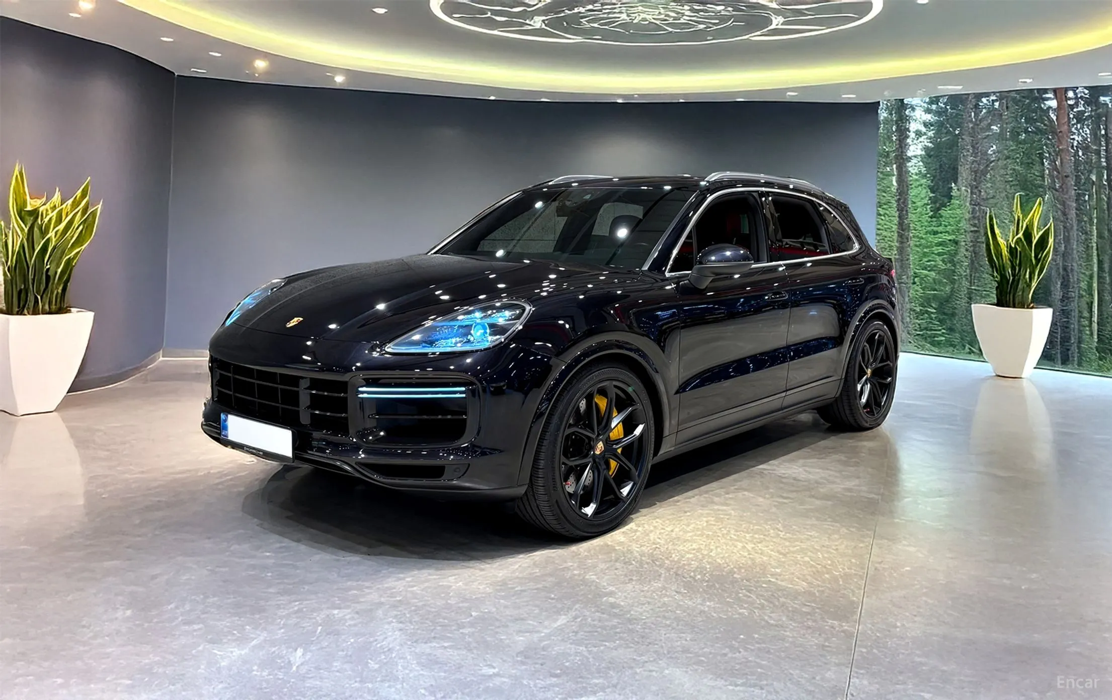Cayenne (PO536)