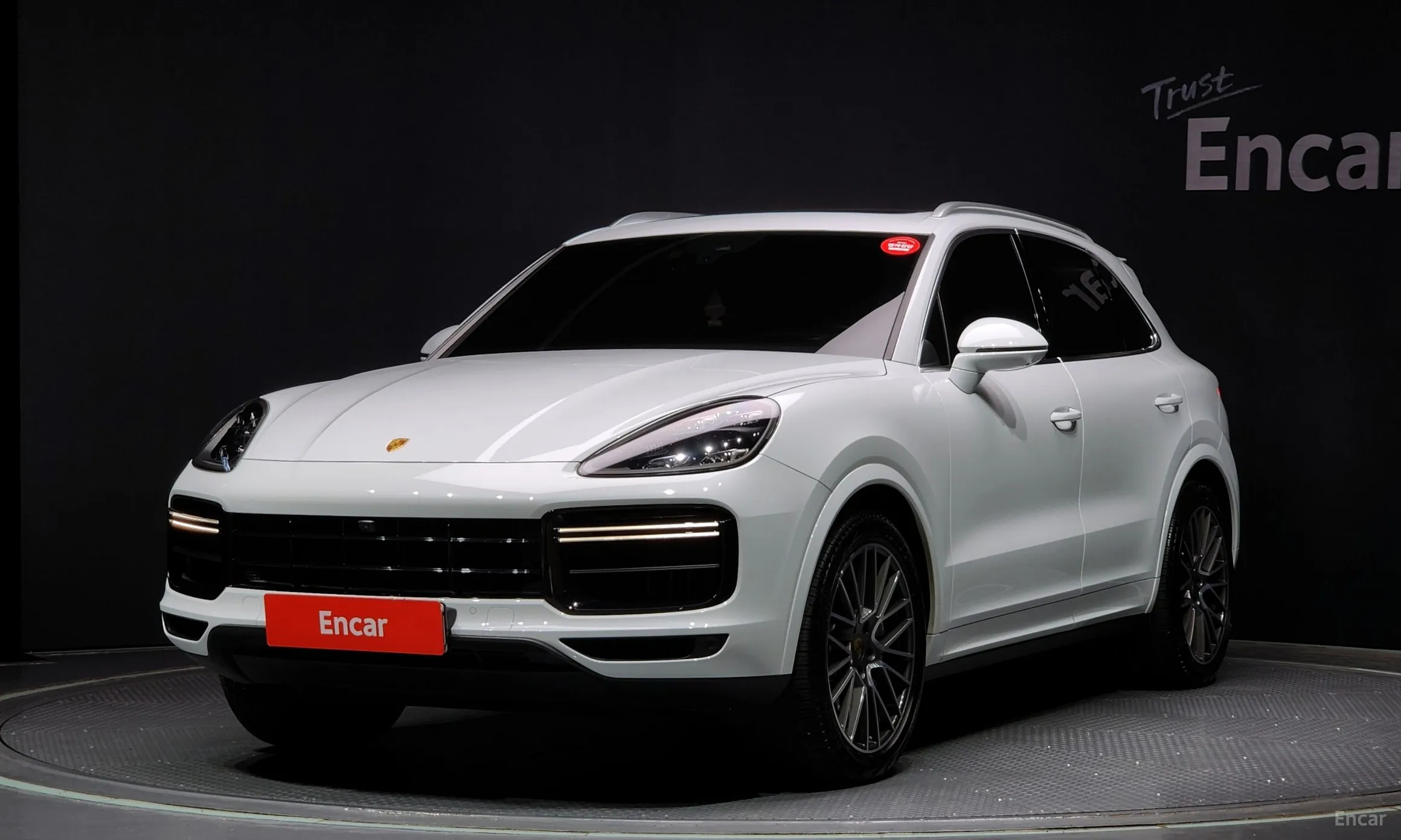 Cayenne (PO536)
