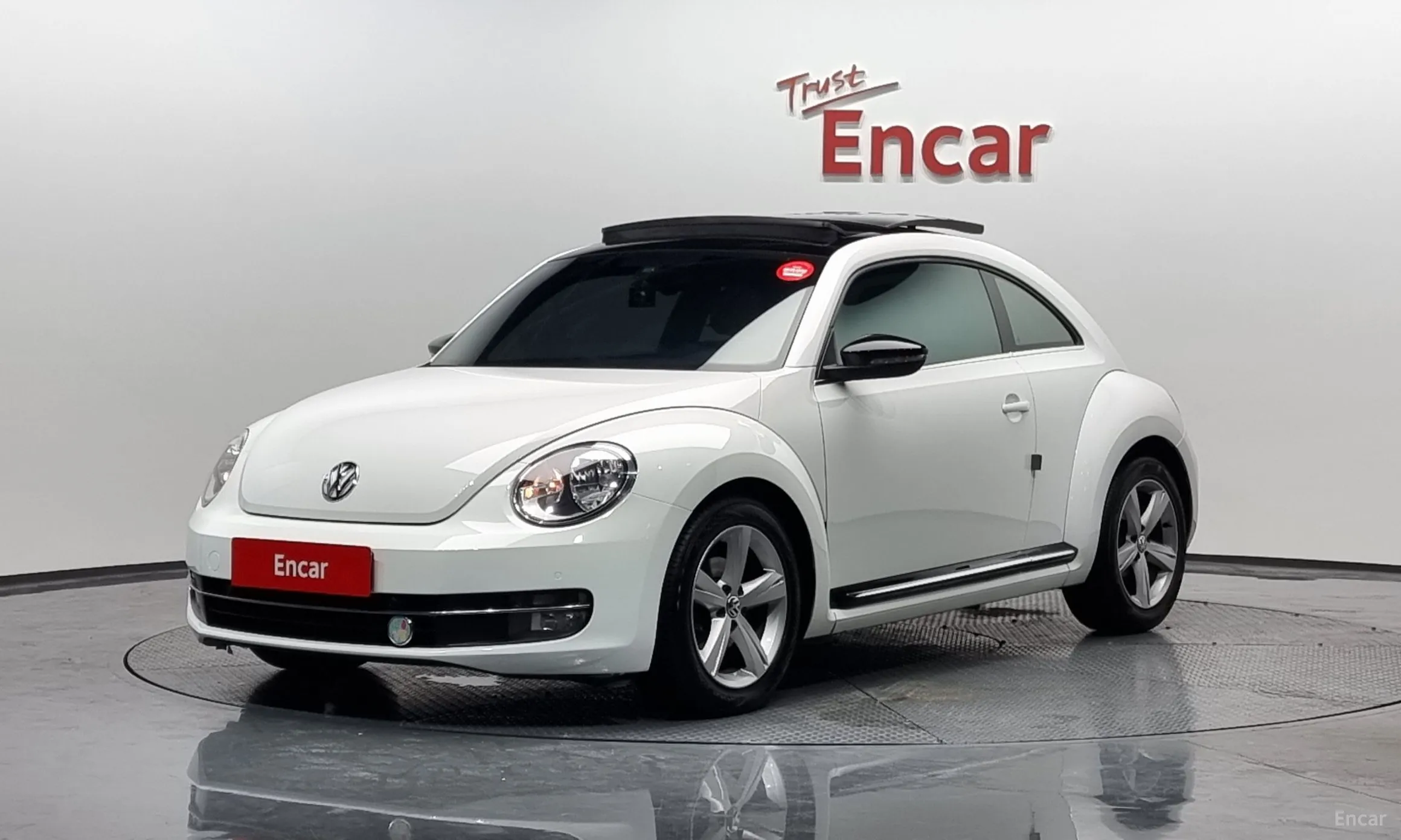 The Beetle