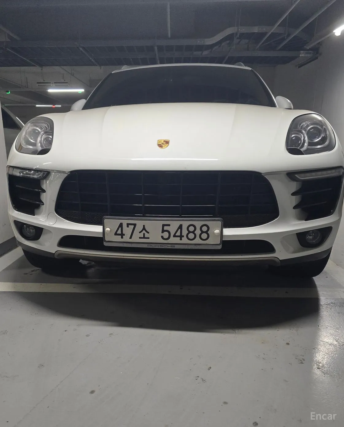Macan