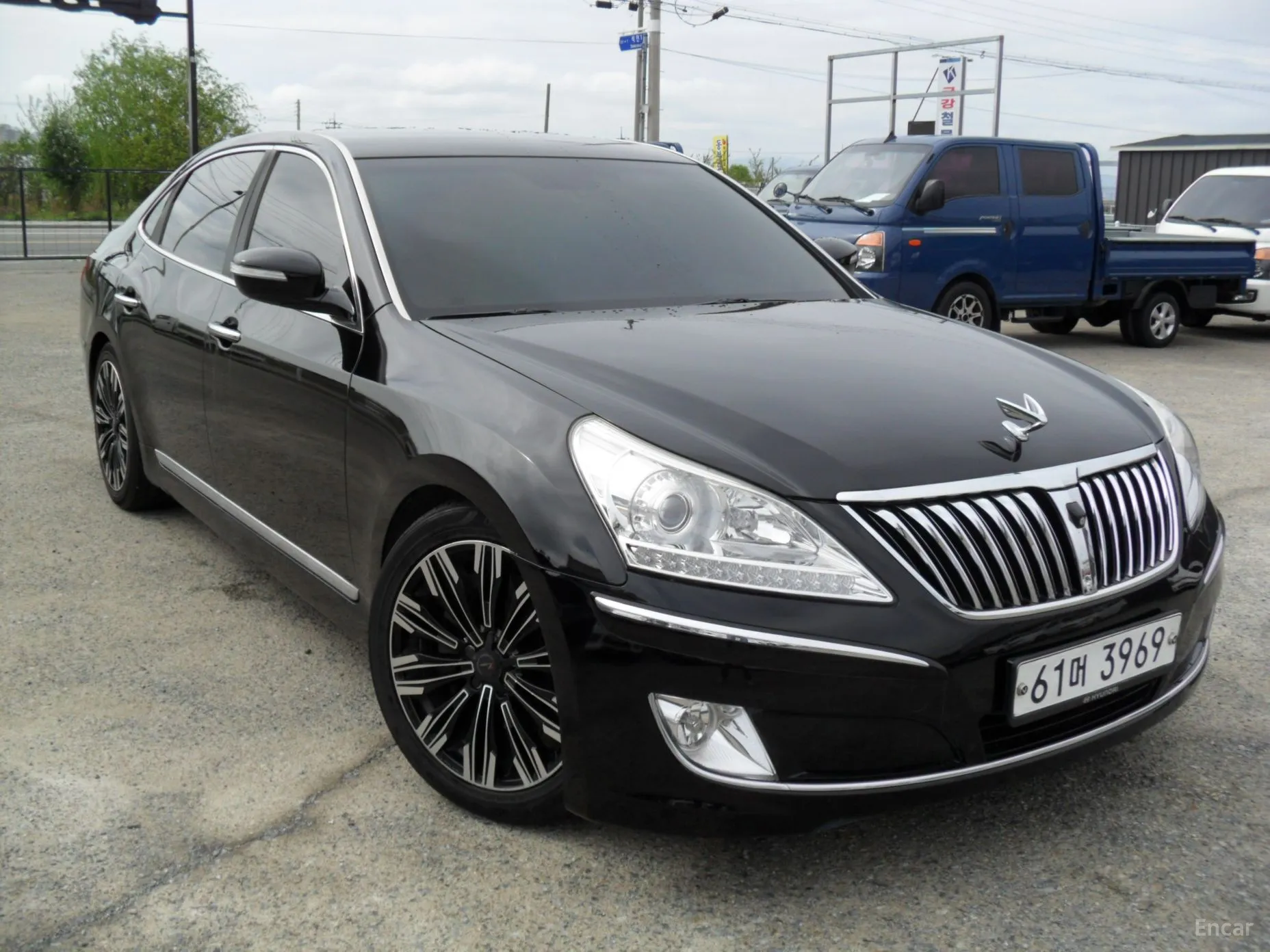 Equus (new)