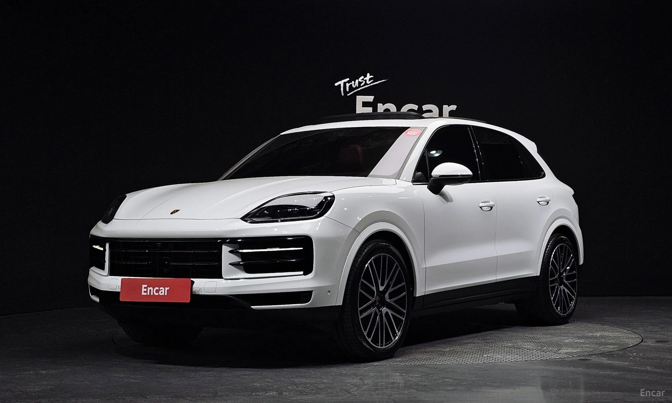 Cayenne (PO536)