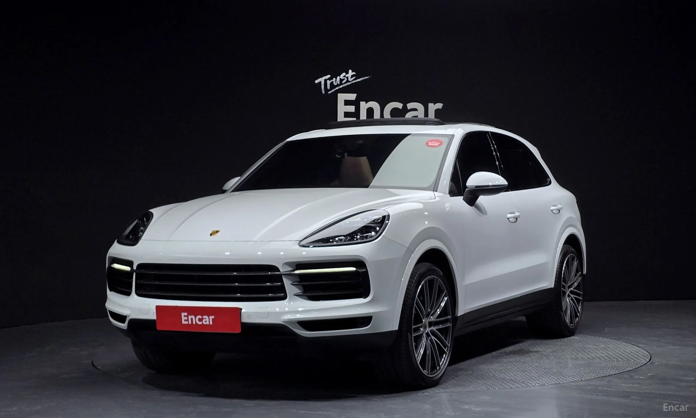 Cayenne (PO536)