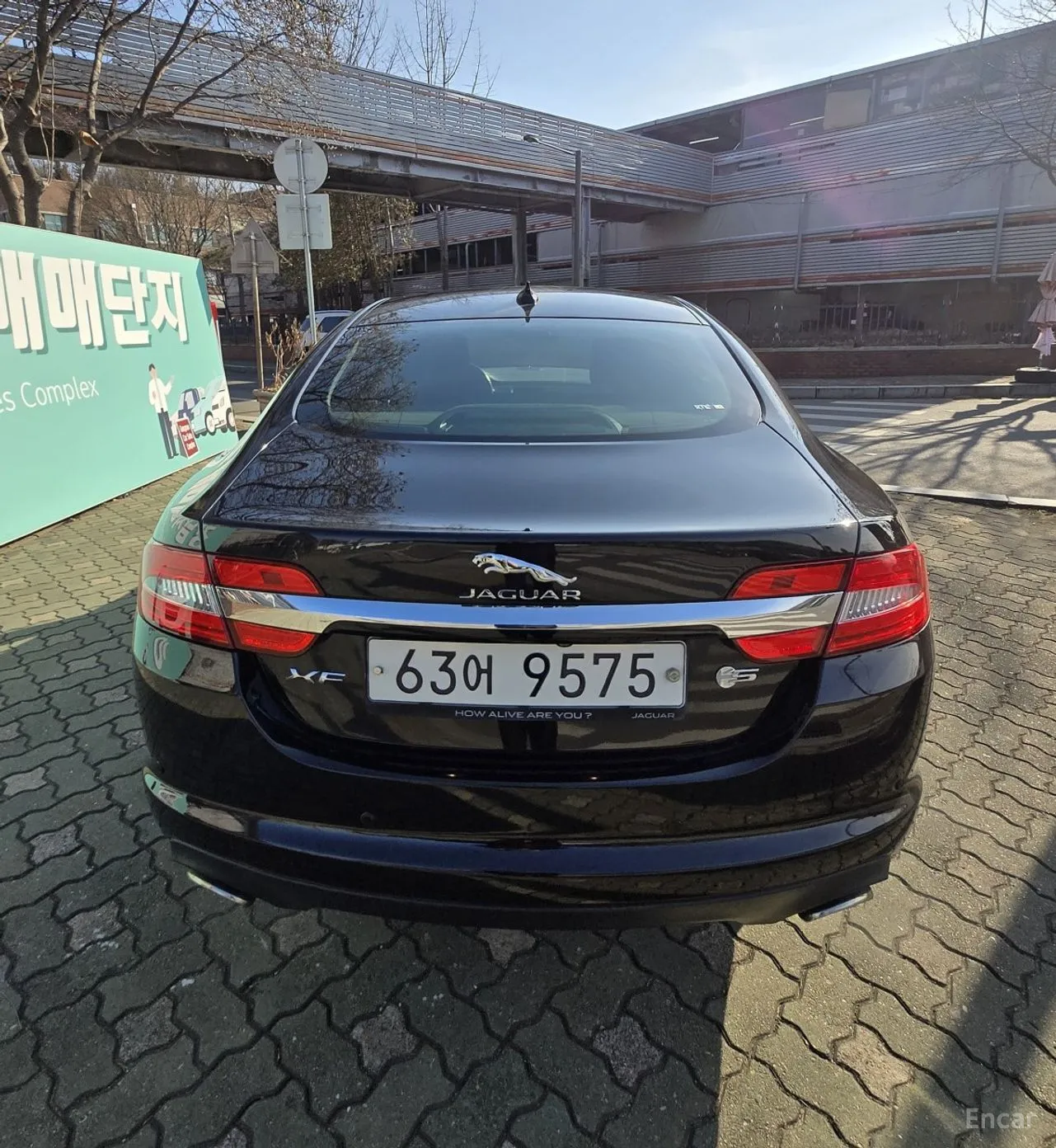 Jaguar New XF превью 4