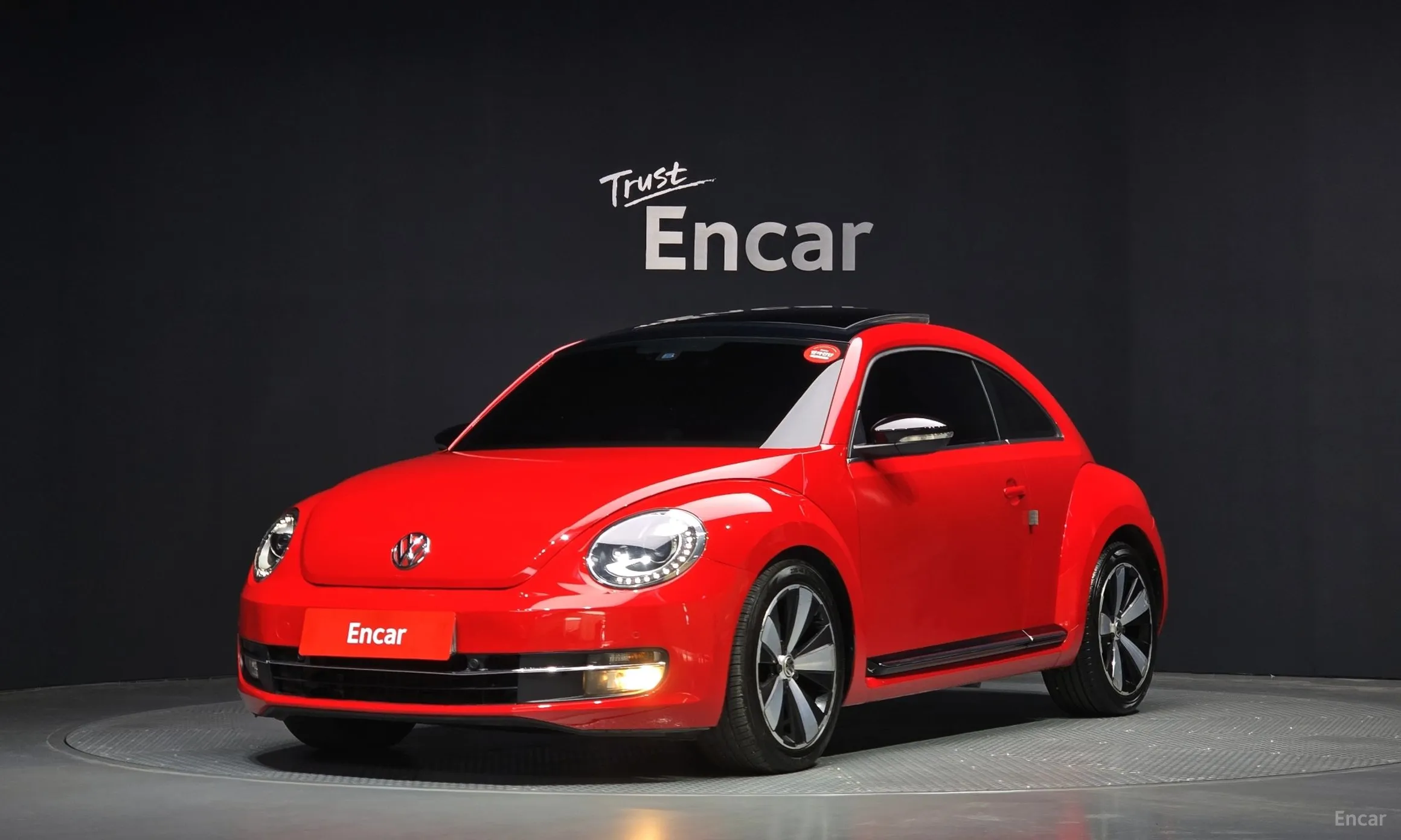 The Beetle