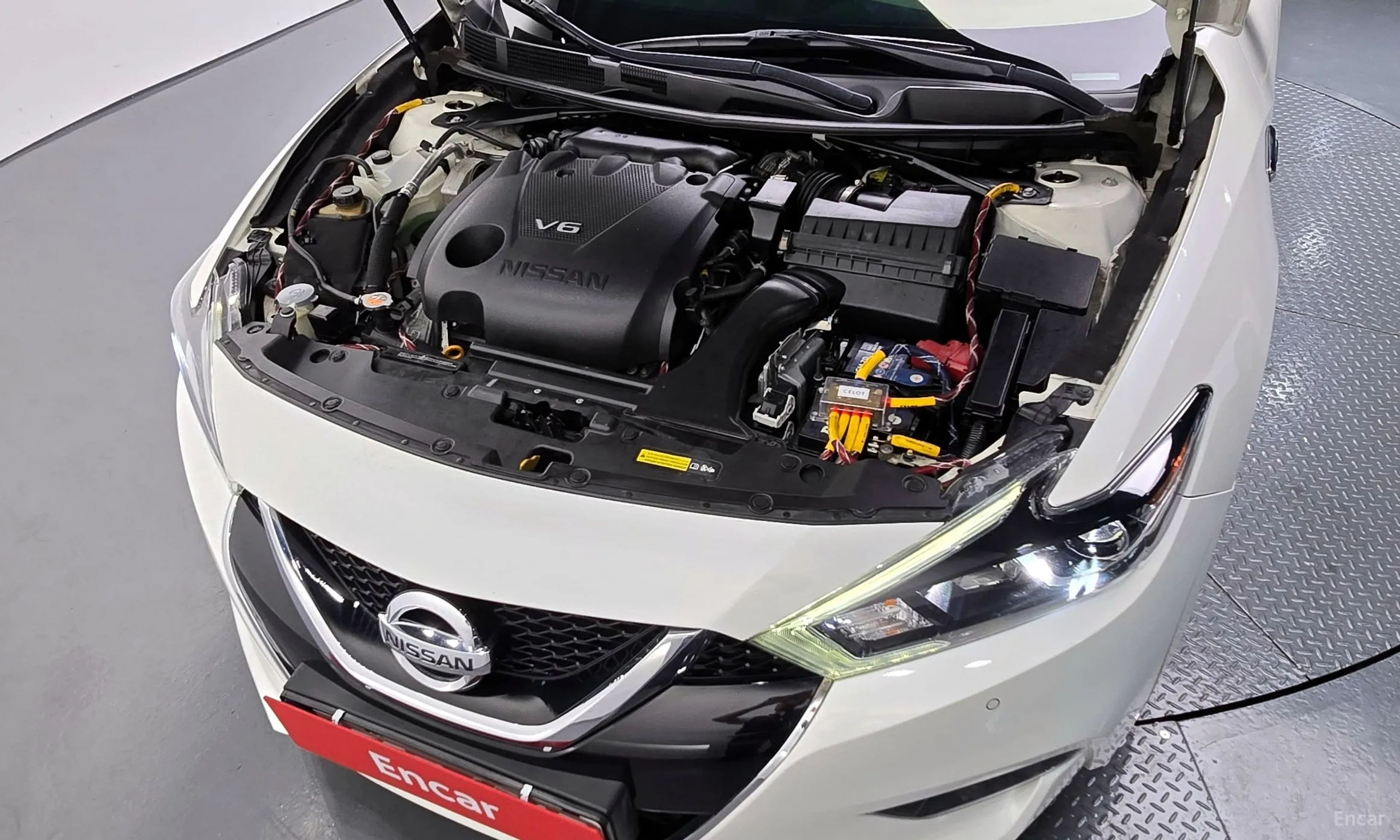 Nissan Maxima (A36) превью 6