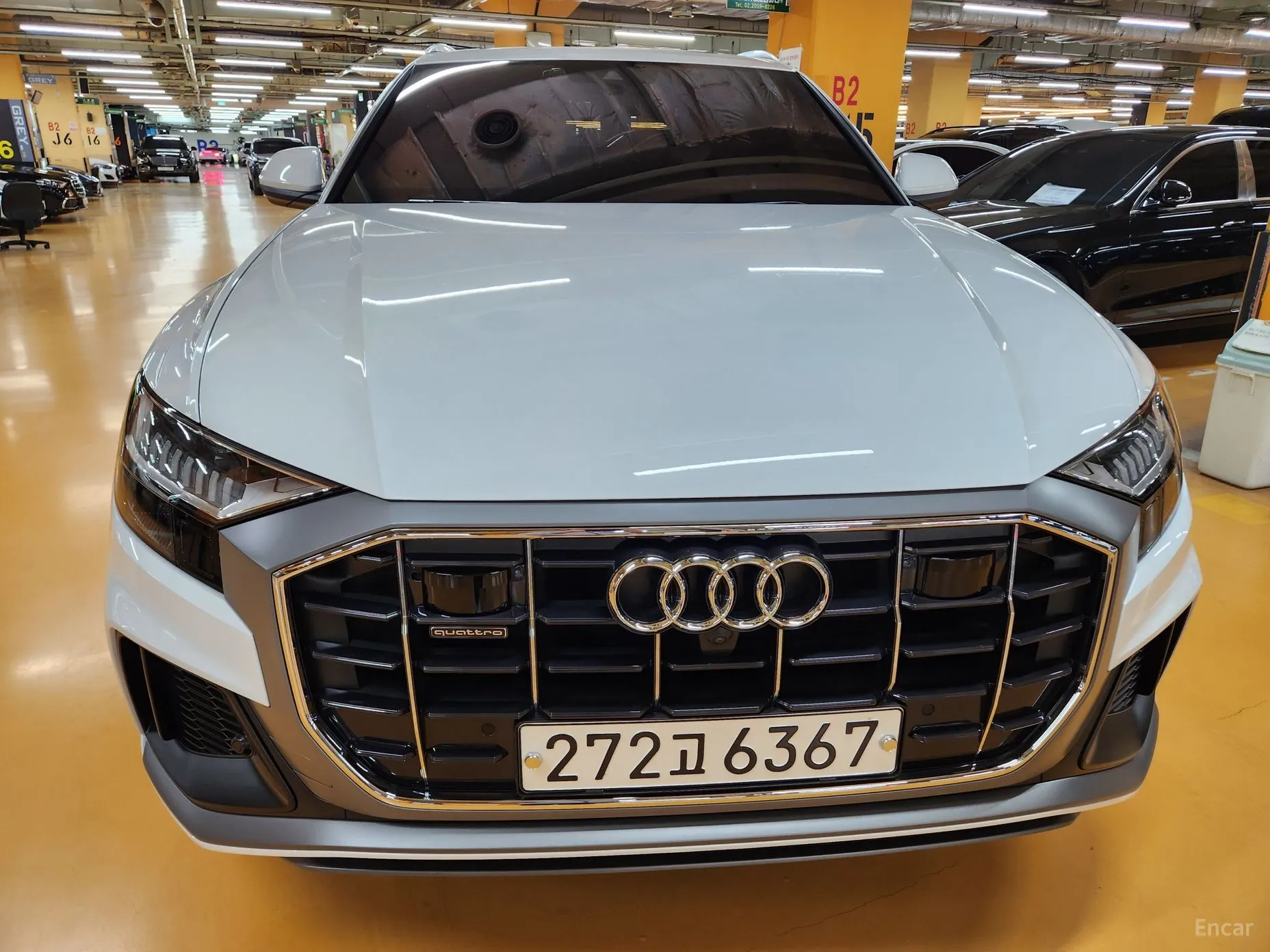 Audi Q8 (4M) превью 3