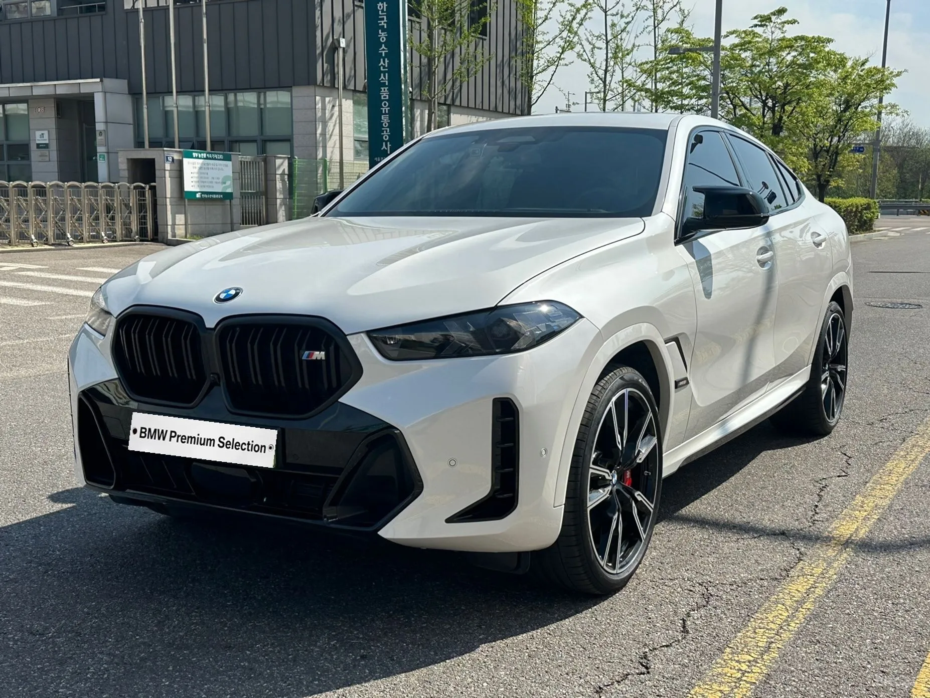 X6 (G06)