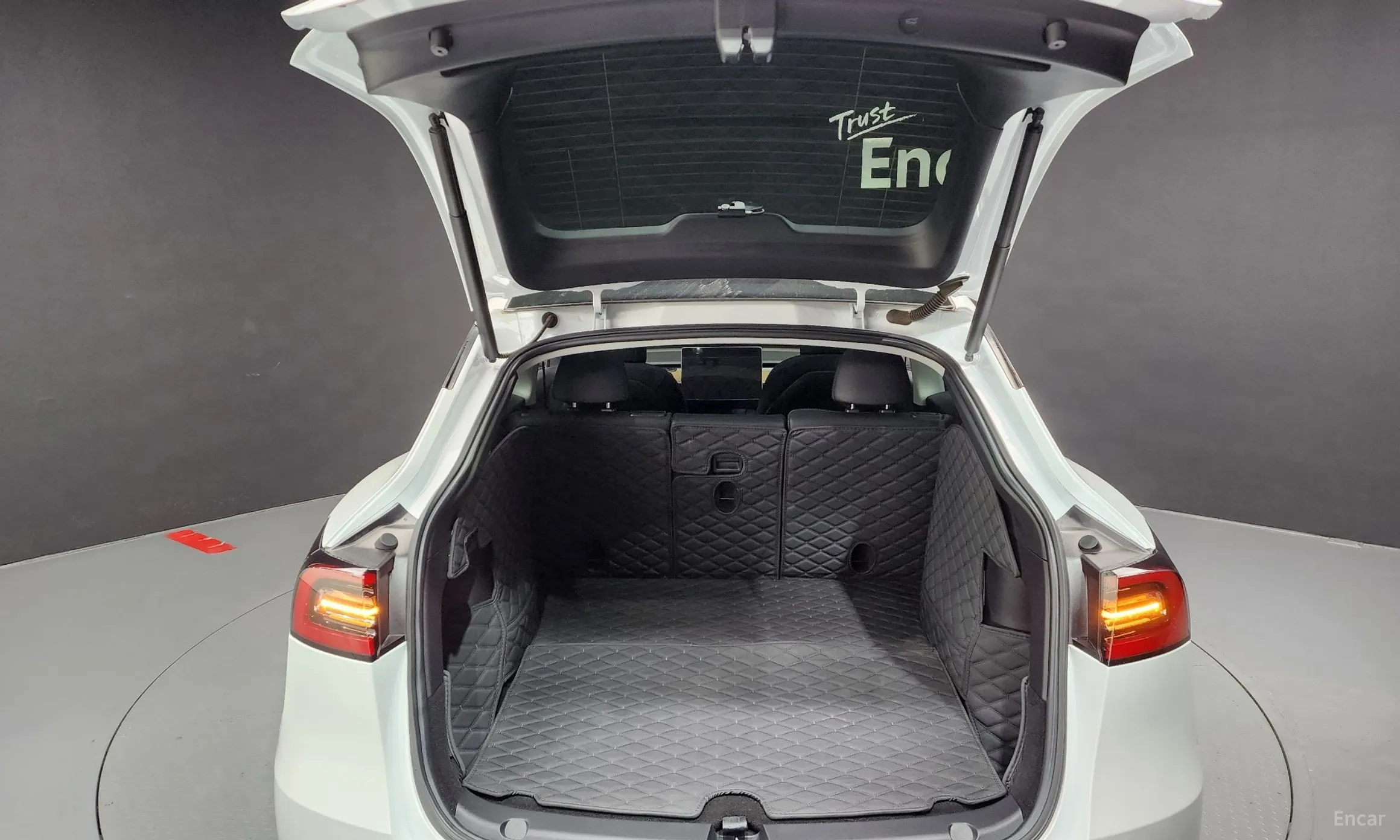 Tesla Model Y превью 19