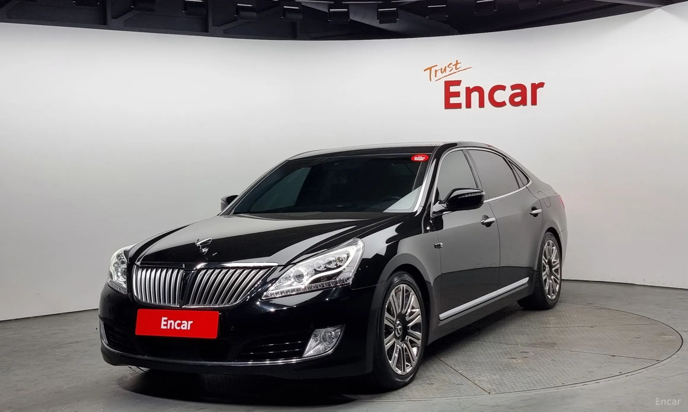 Equus (new)