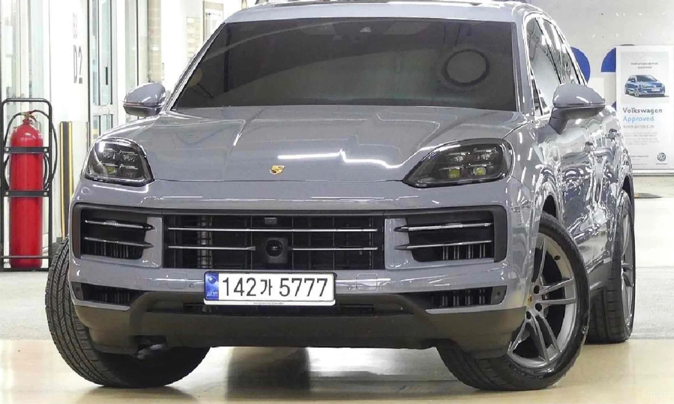 Cayenne (PO536)