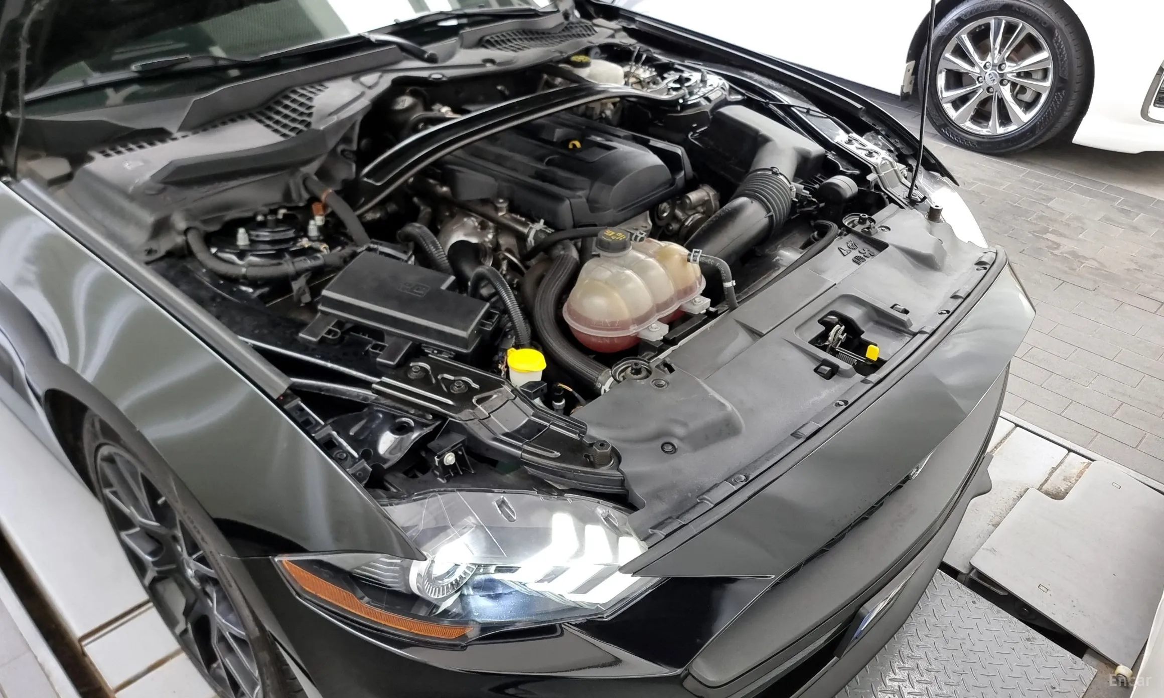 Ford Mustang превью 6