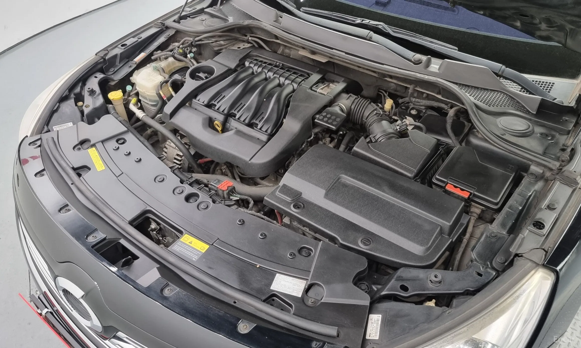 Renault Korea (Samsung) SM7 превью 6