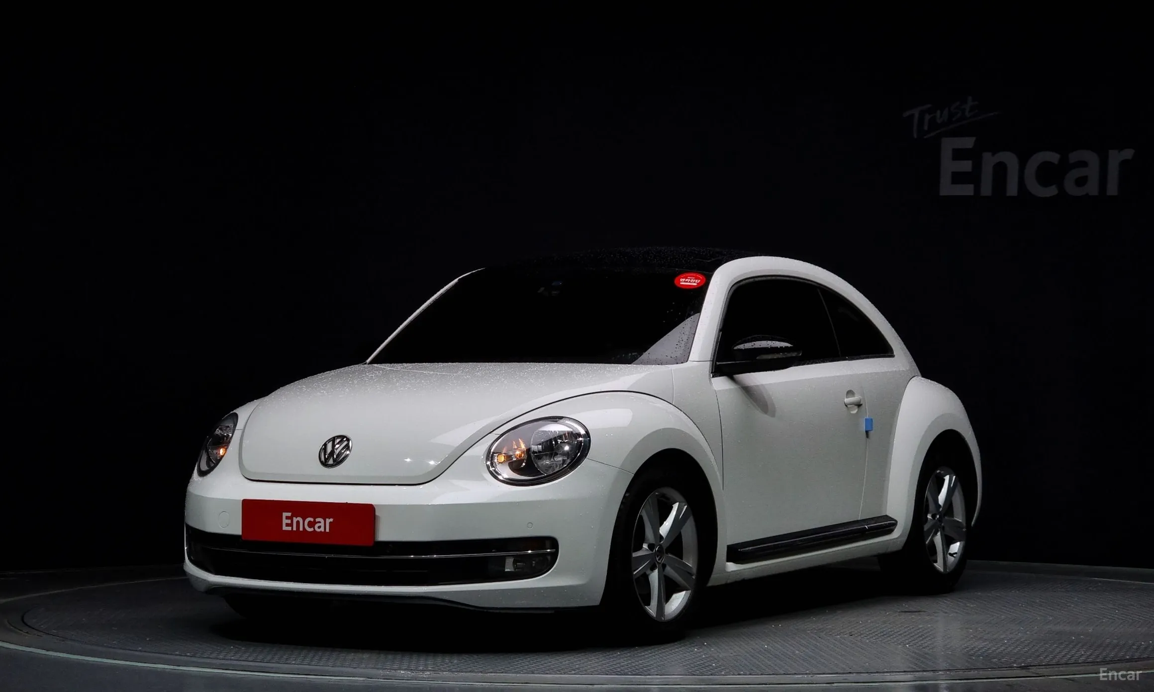 The Beetle