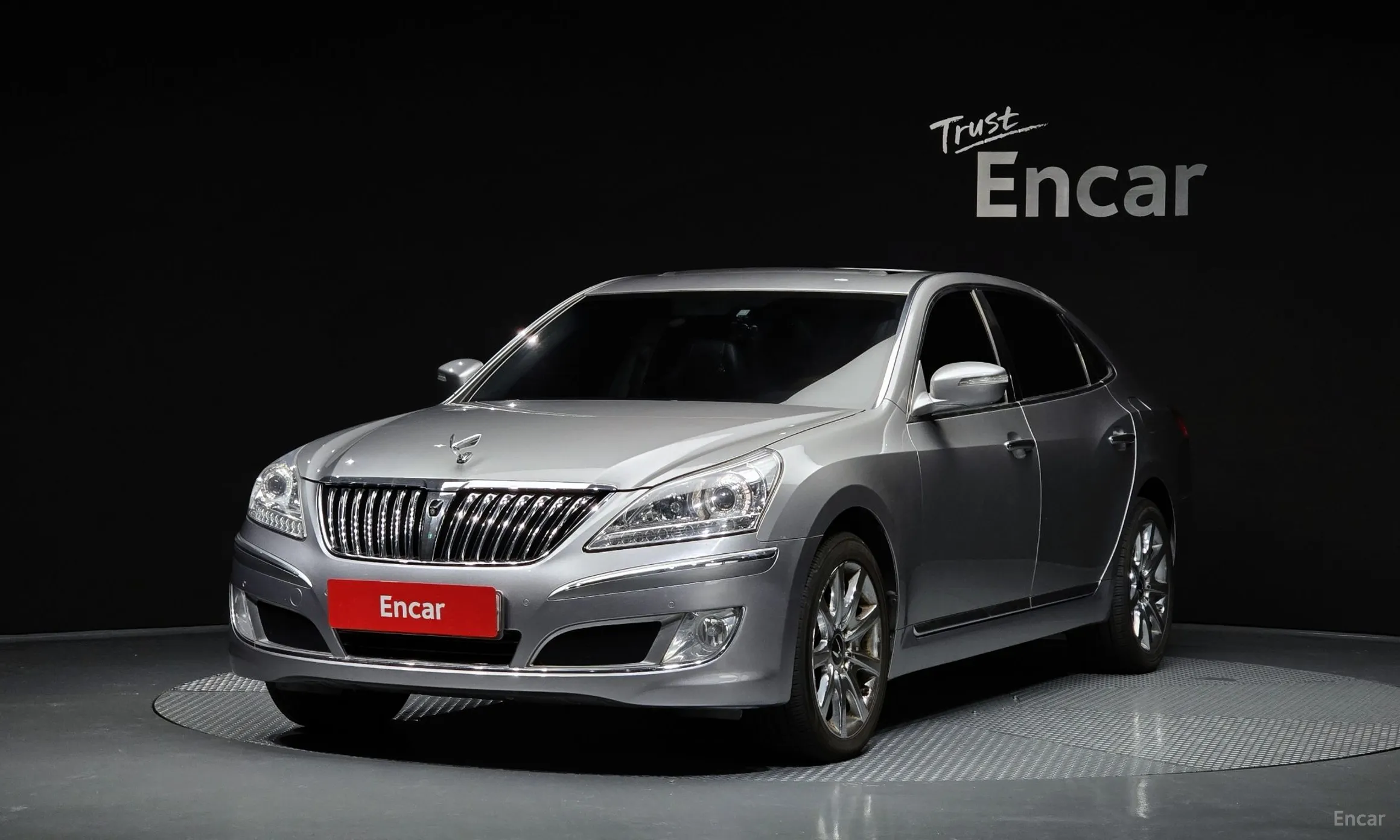 Equus (new)