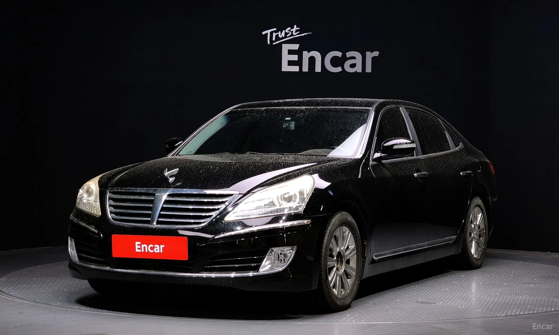 Equus (new)