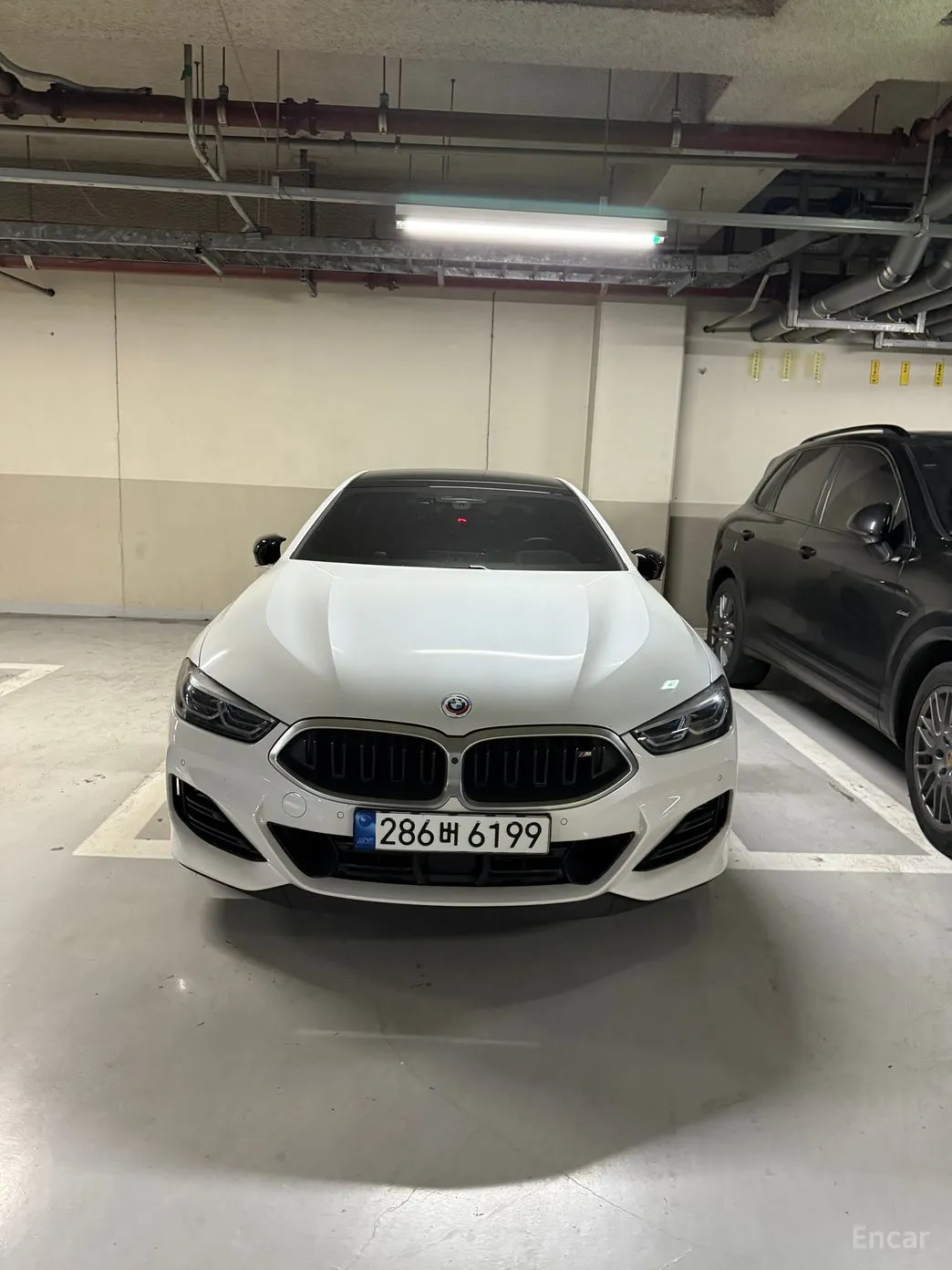 BMW 8-series (G15)
