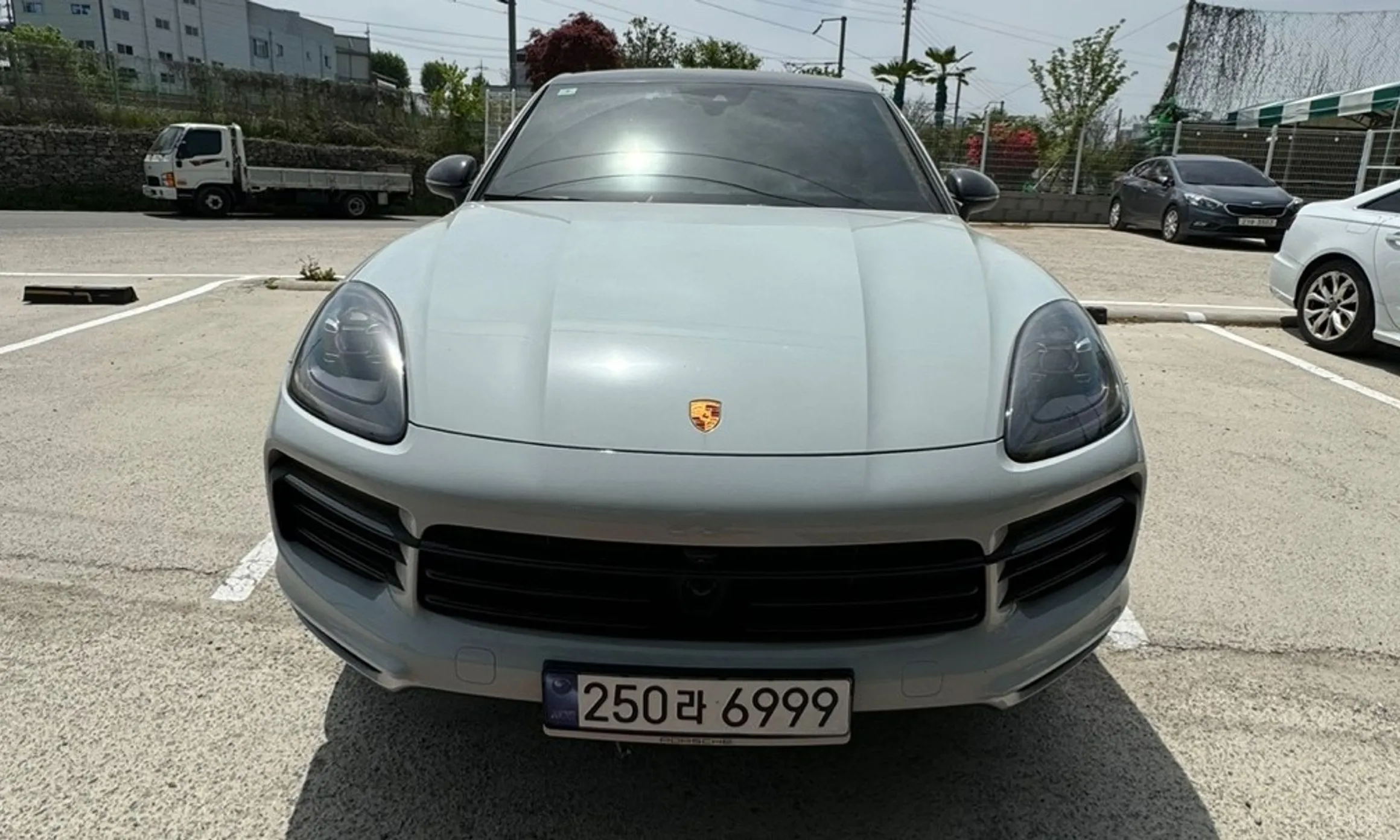 Cayenne (PO536)