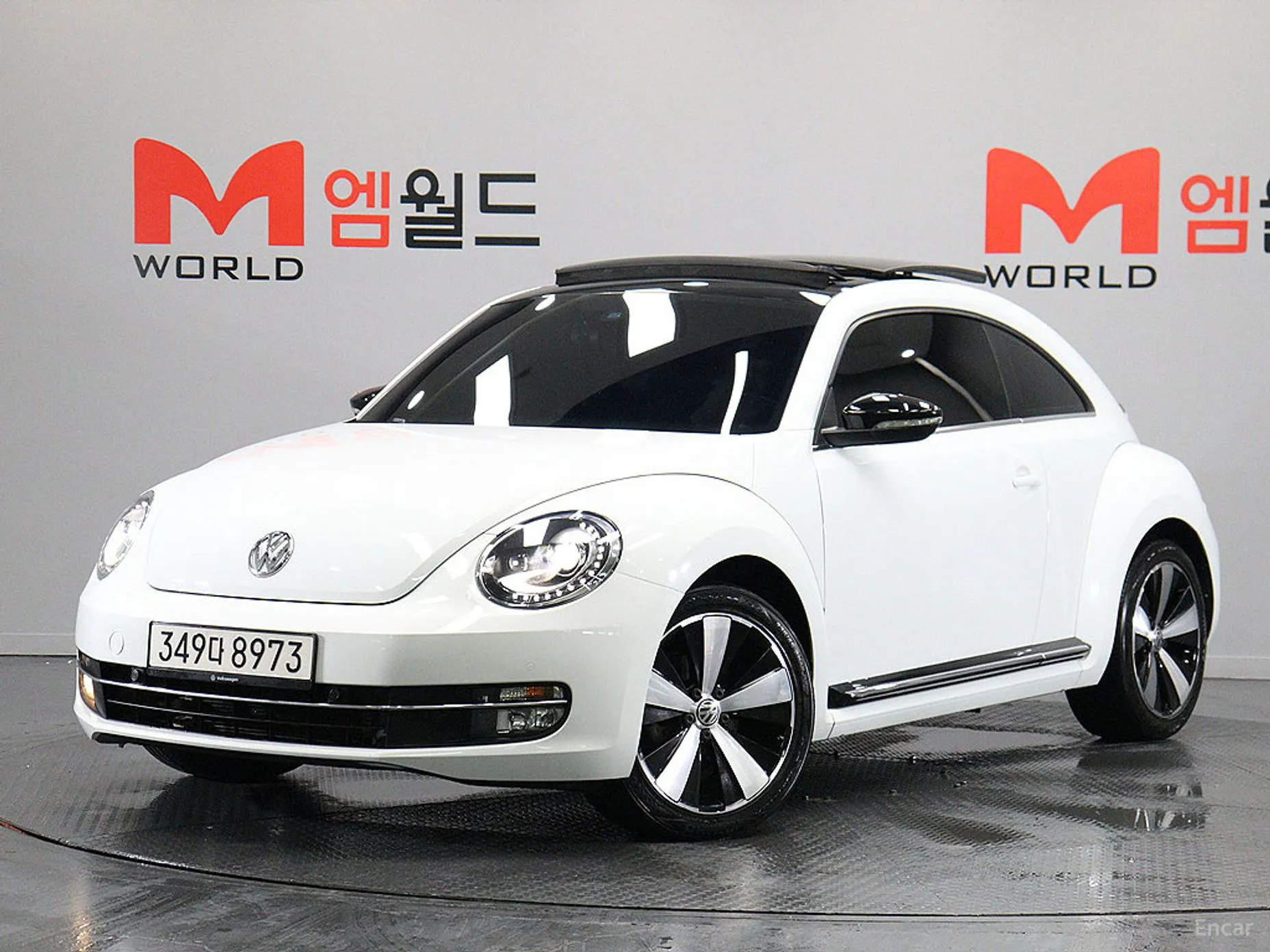 The Beetle
