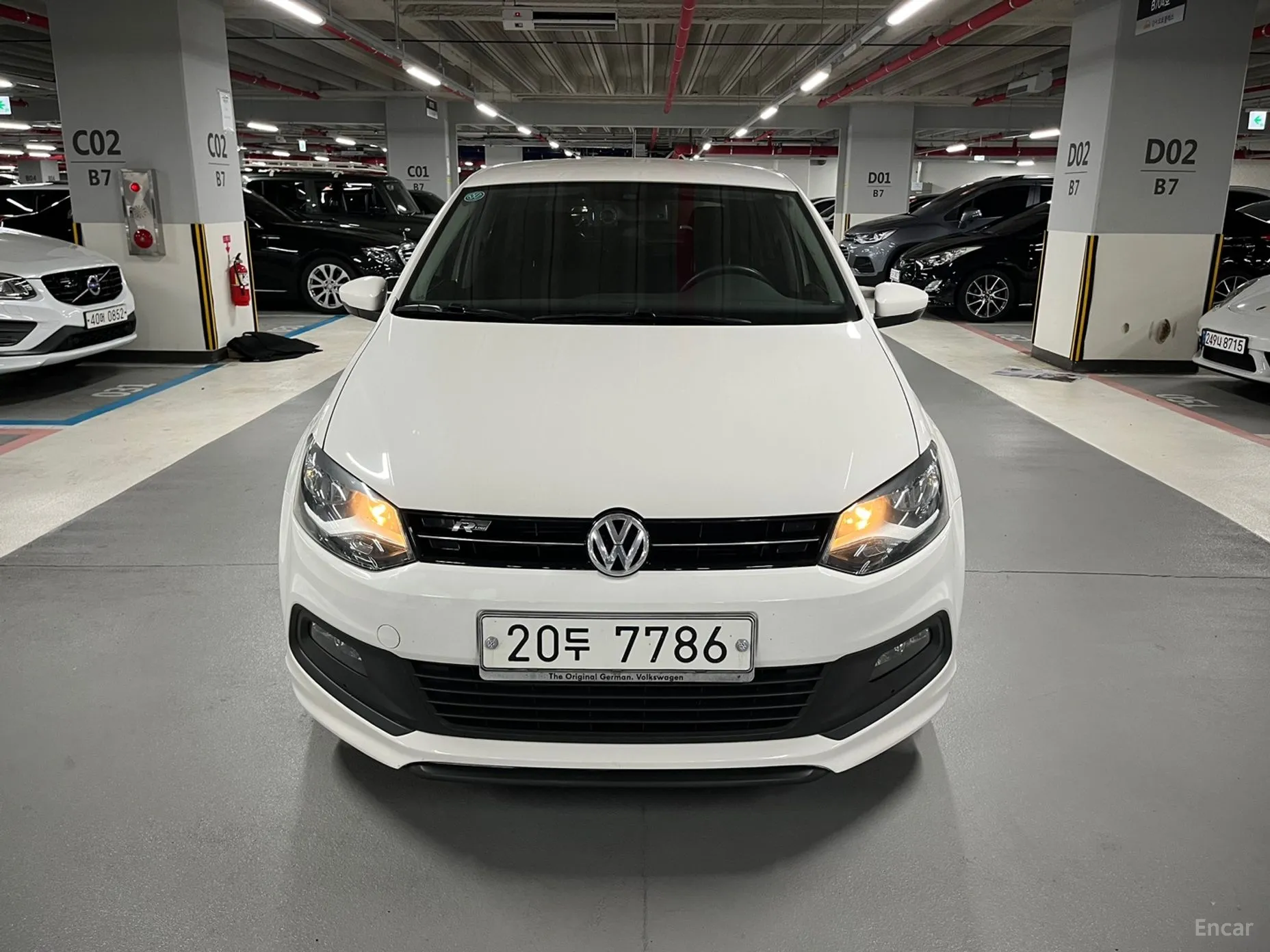 Polo
