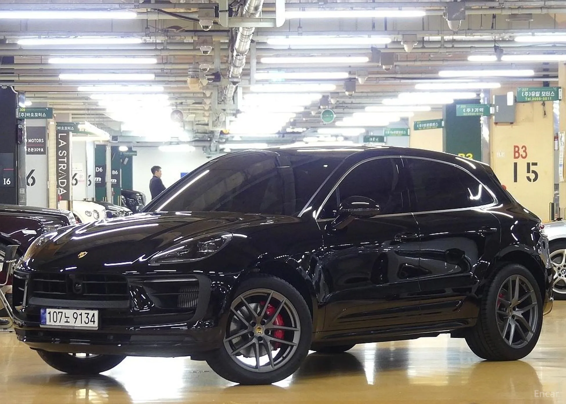 Macan