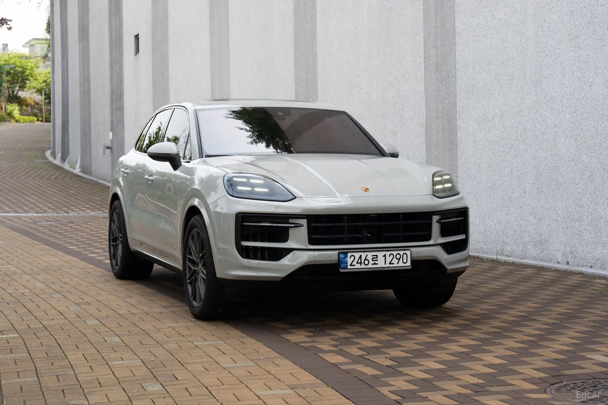 Cayenne (PO536)