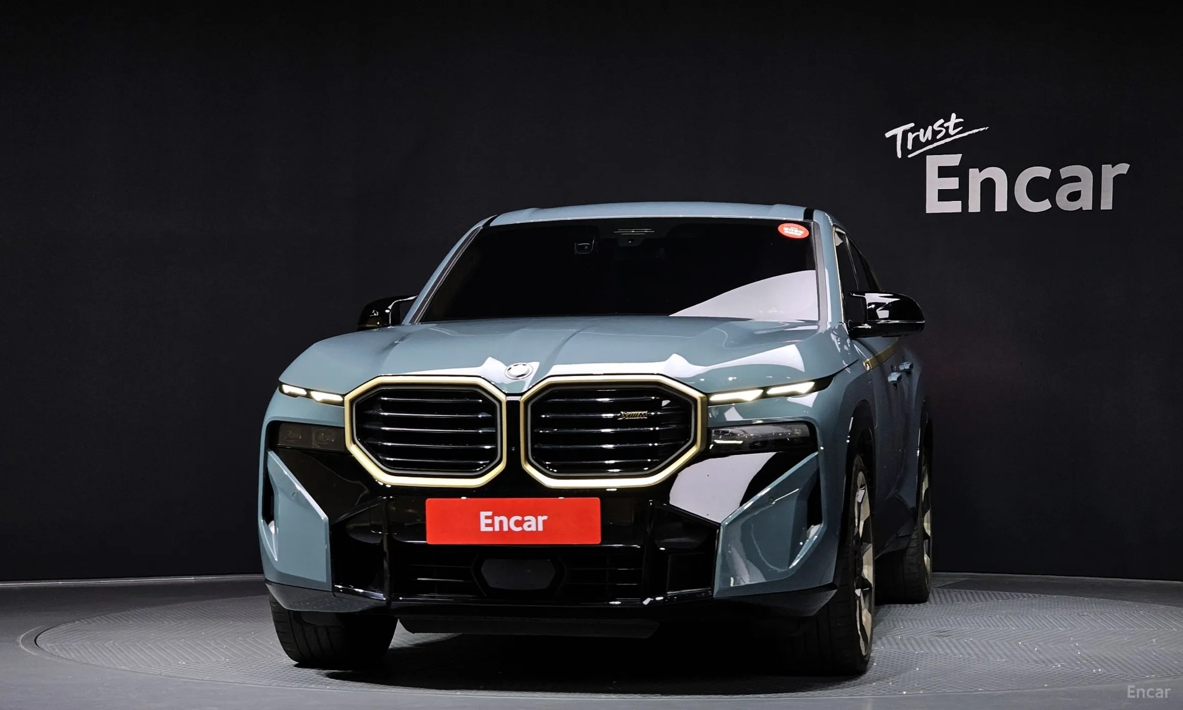 BMW XM (G09)