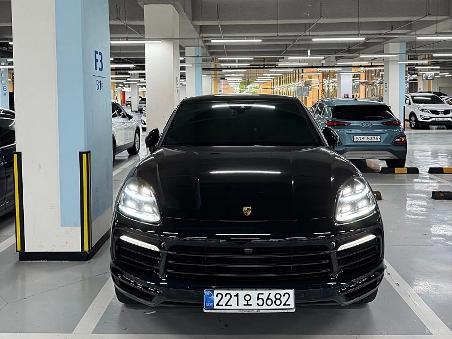 Cayenne (PO536)